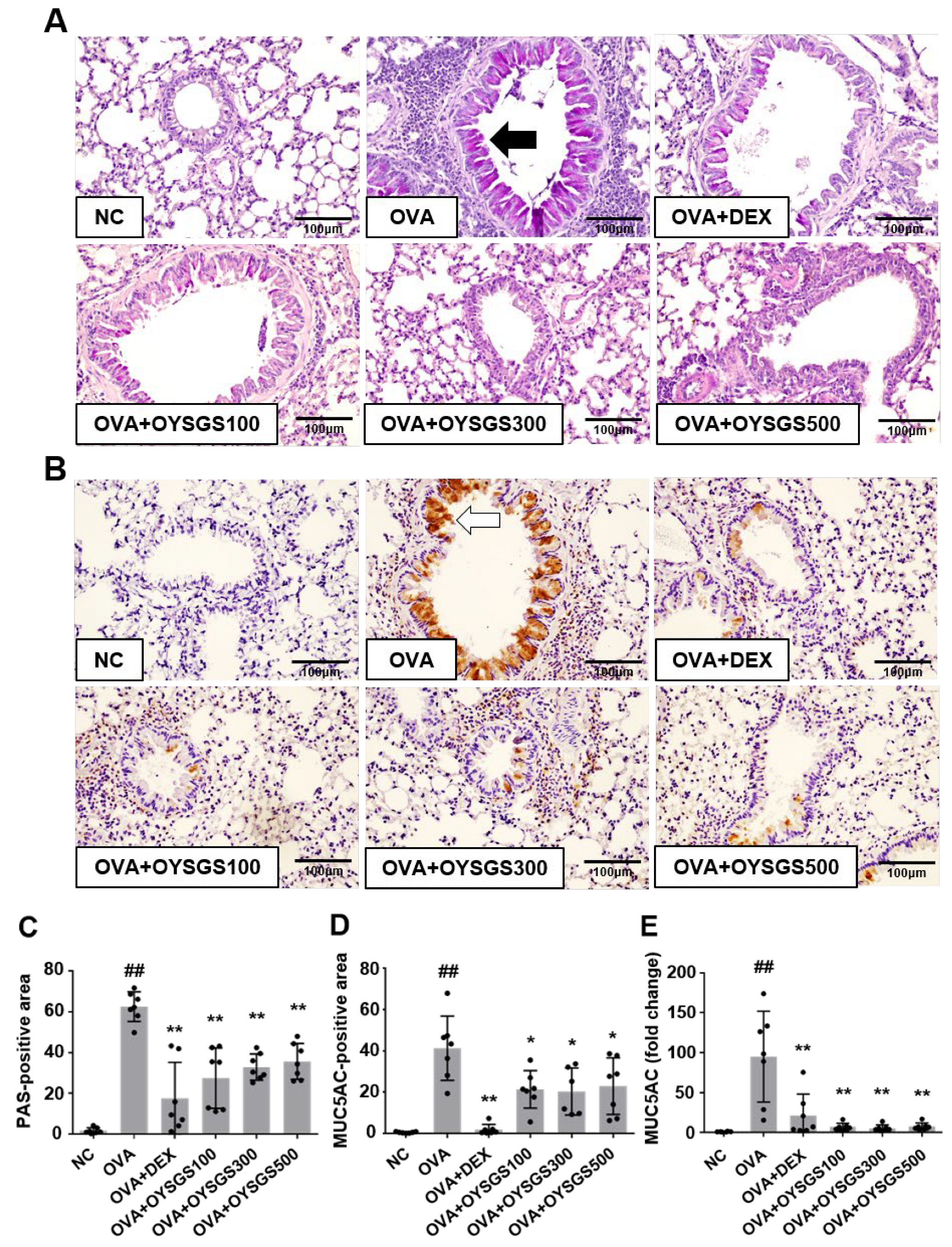 Applsci 14 05280 g005