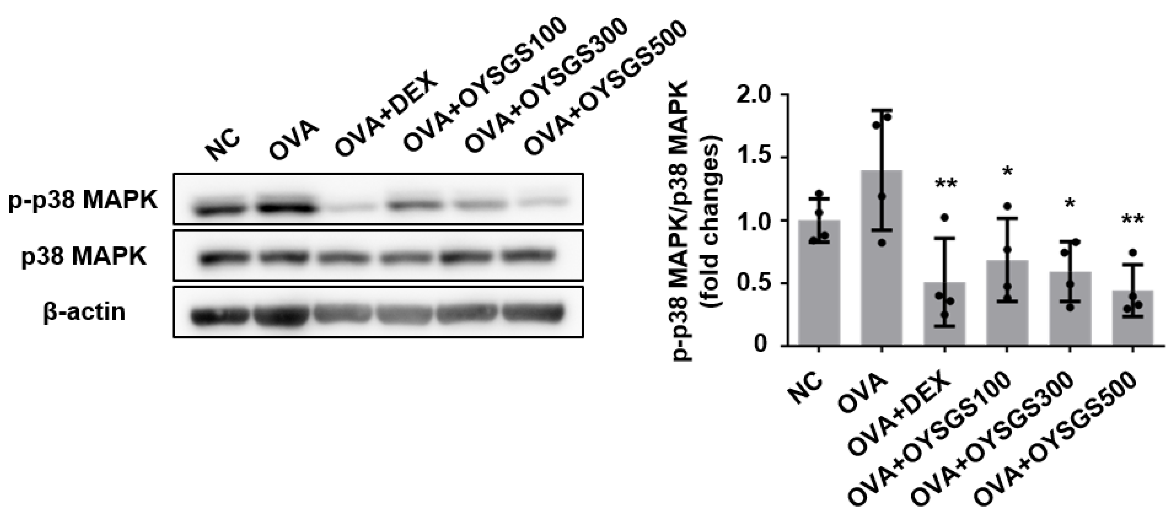 Applsci 14 05280 g007