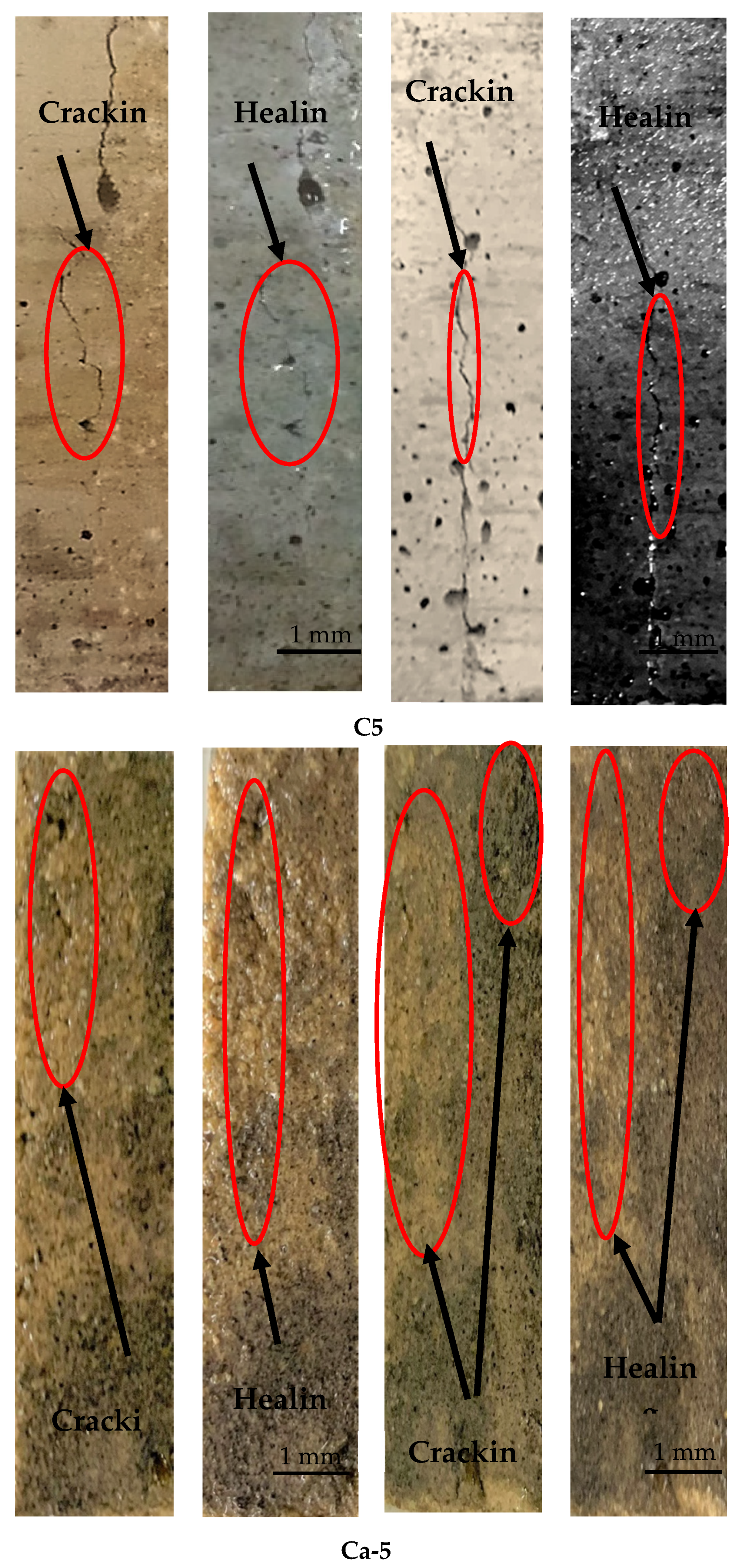 Applsci 14 05299 g009