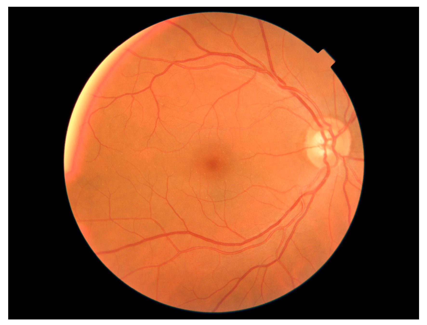 Applsci 14 05314 g002 Applsci 14 05314 g002