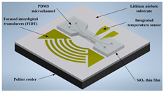 Applsci 14 05315 i009