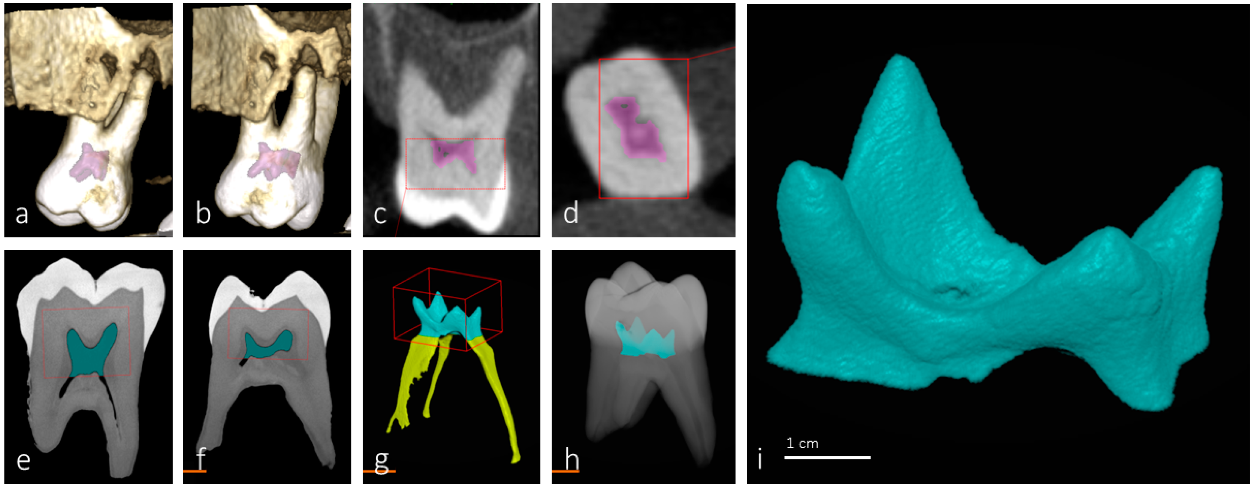 Applsci 14 05365 g001