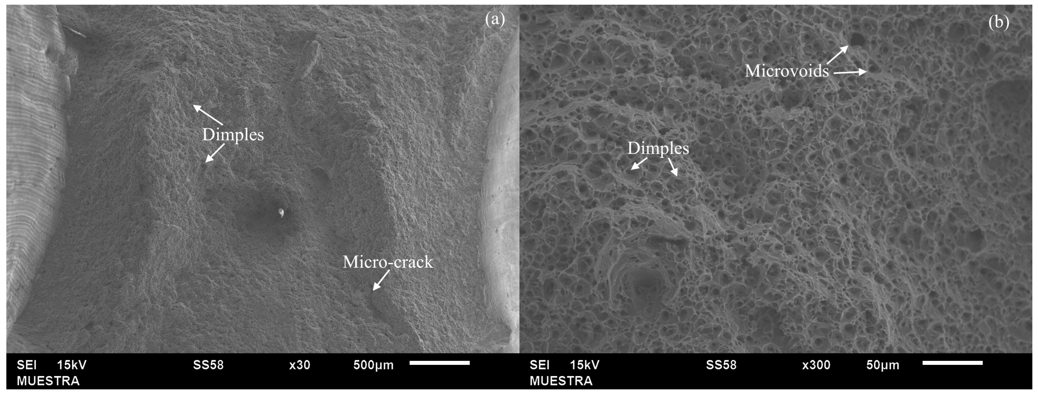 Applsci 14 05407 g010