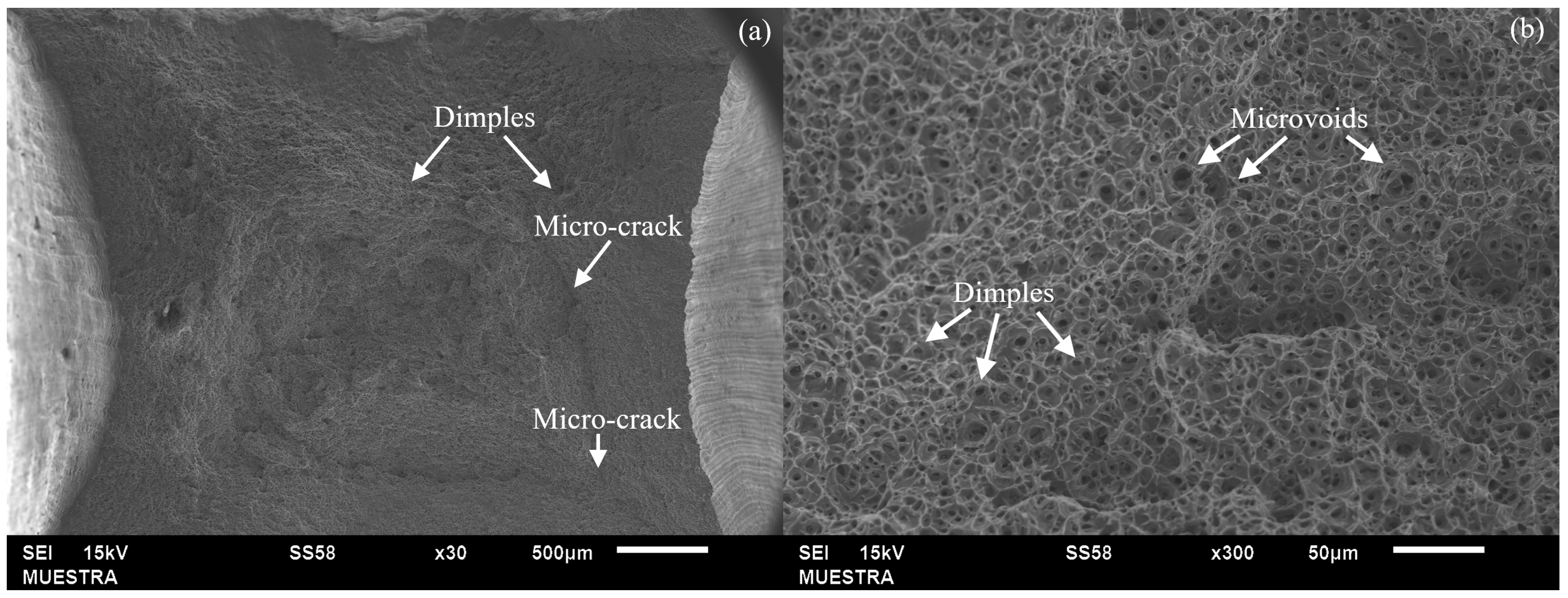 Applsci 14 05407 g011