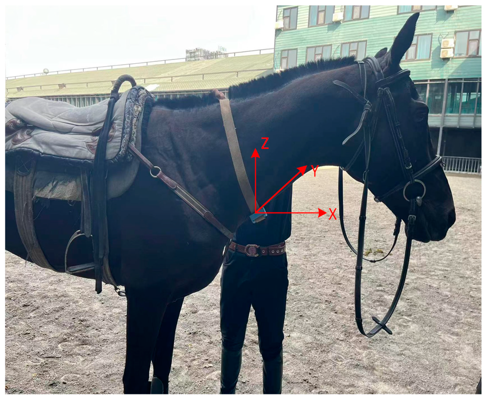 Applsci 14 05424 g003