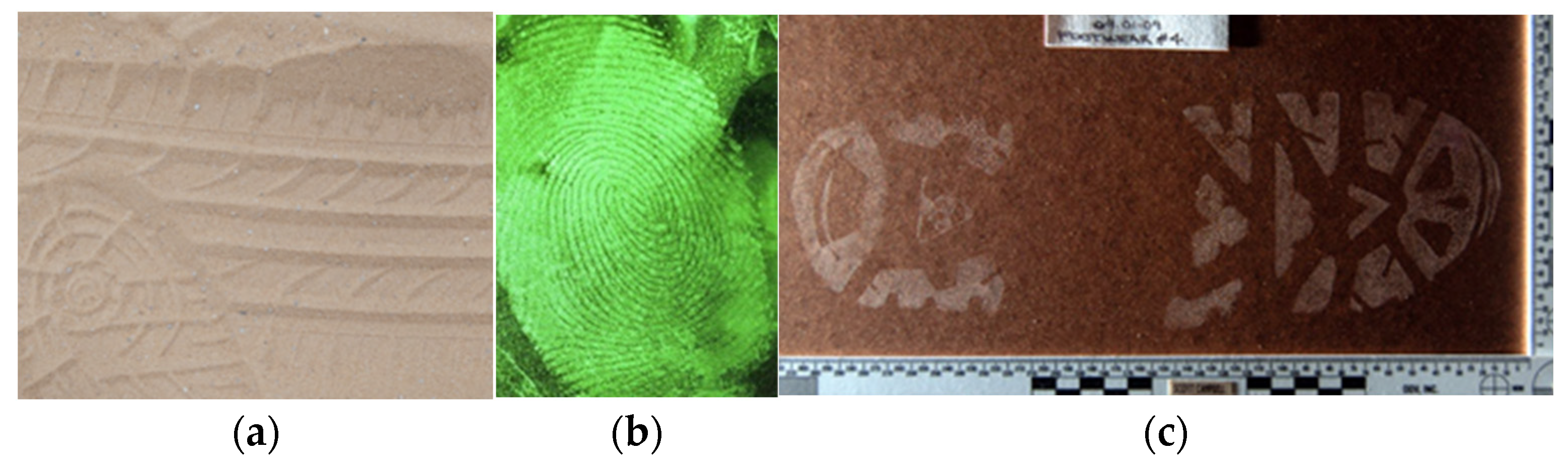 Applsci 14 05444 g001