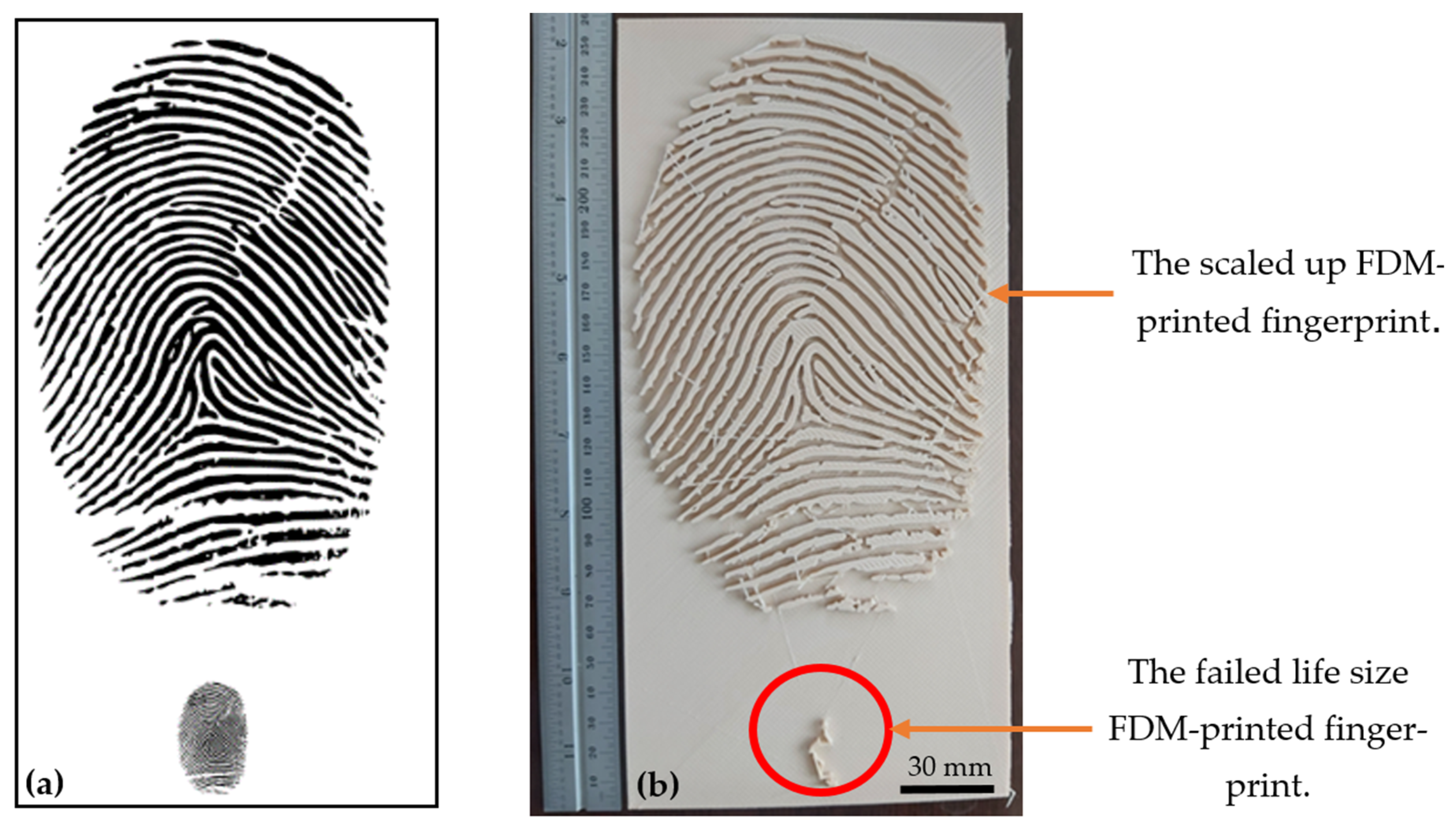 Applsci 14 05444 g024