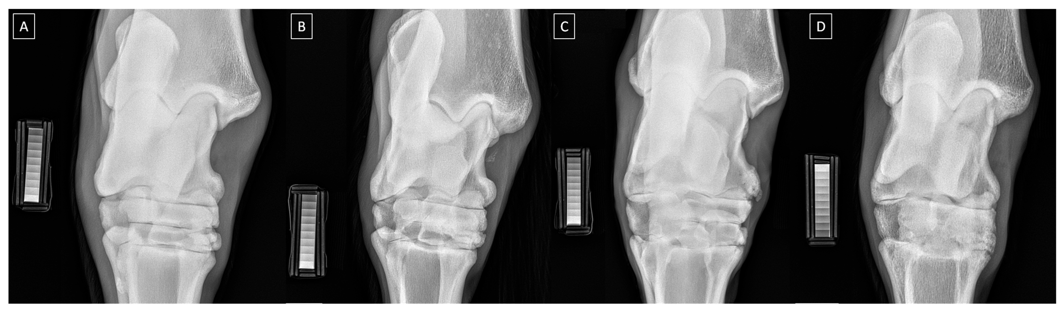 Applsci 14 05498 g001