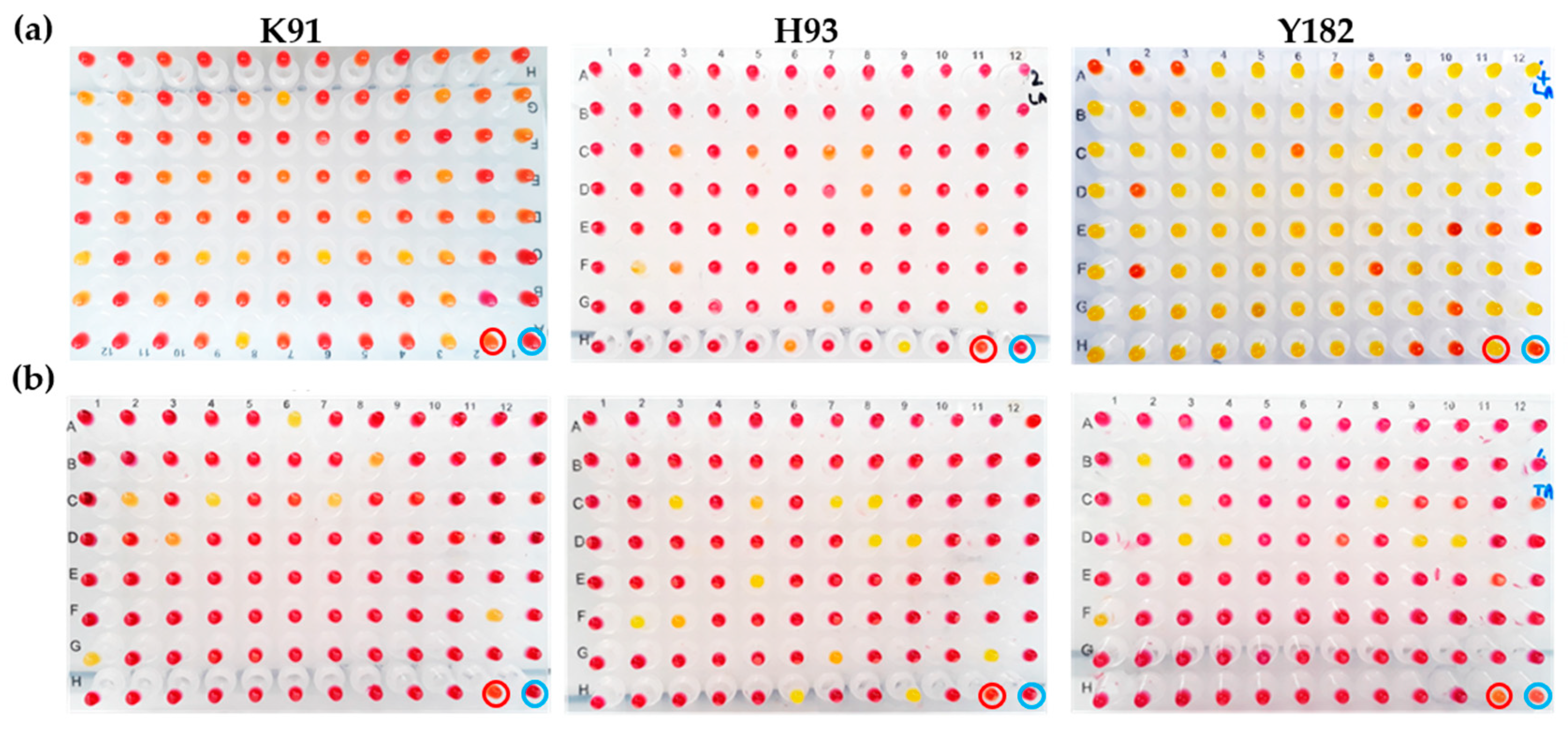 Applsci 14 05546 g002 Applsci 14 05546 g002