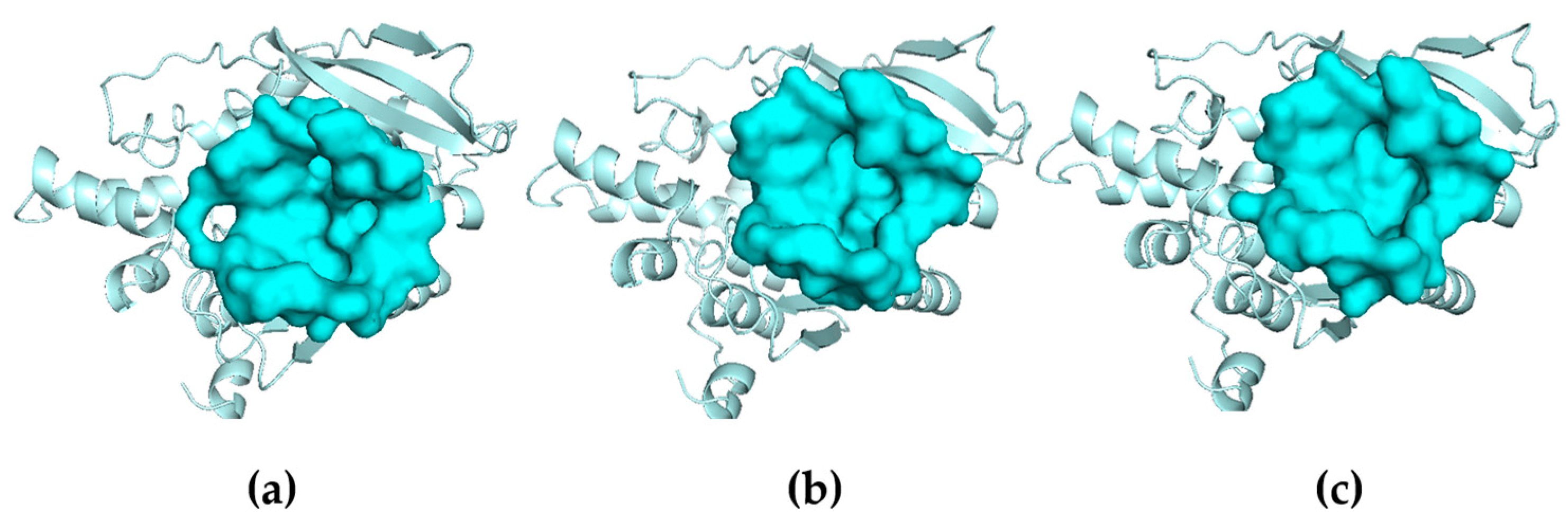 Applsci 14 05546 g006 Applsci 14 05546 g006