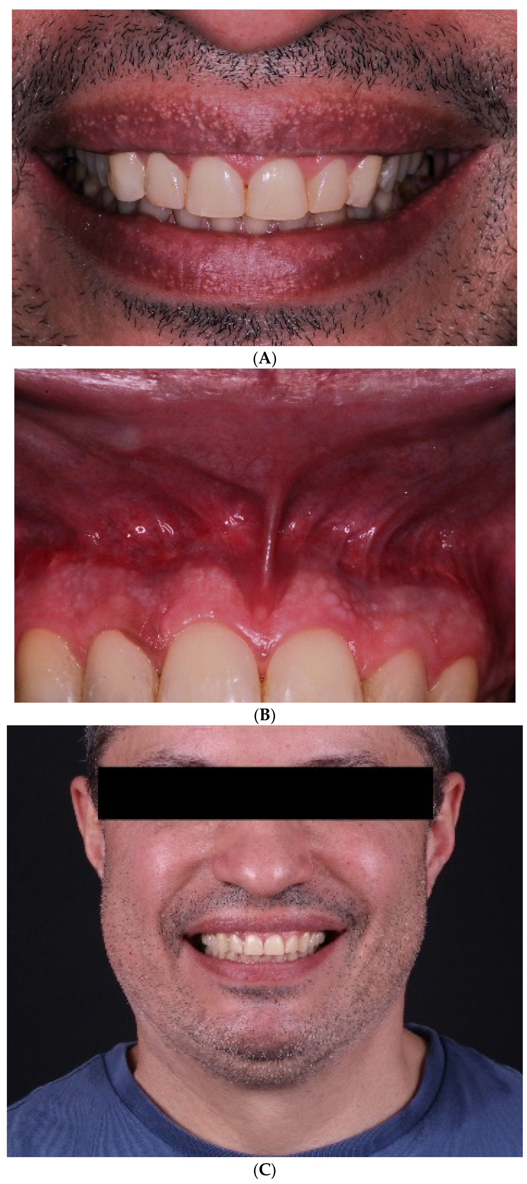 Applsci 14 05580 g008