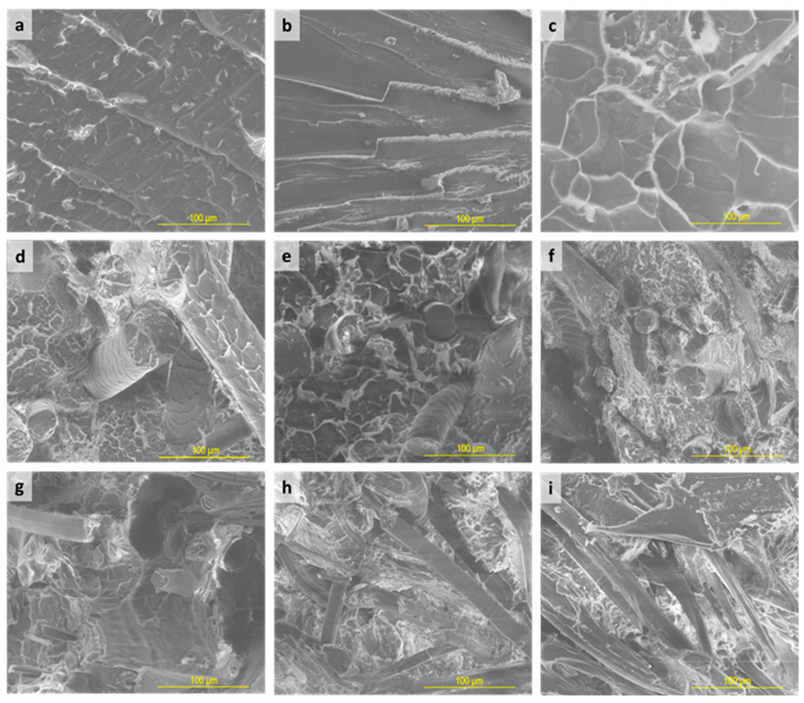 Applsci 14 05600 g009