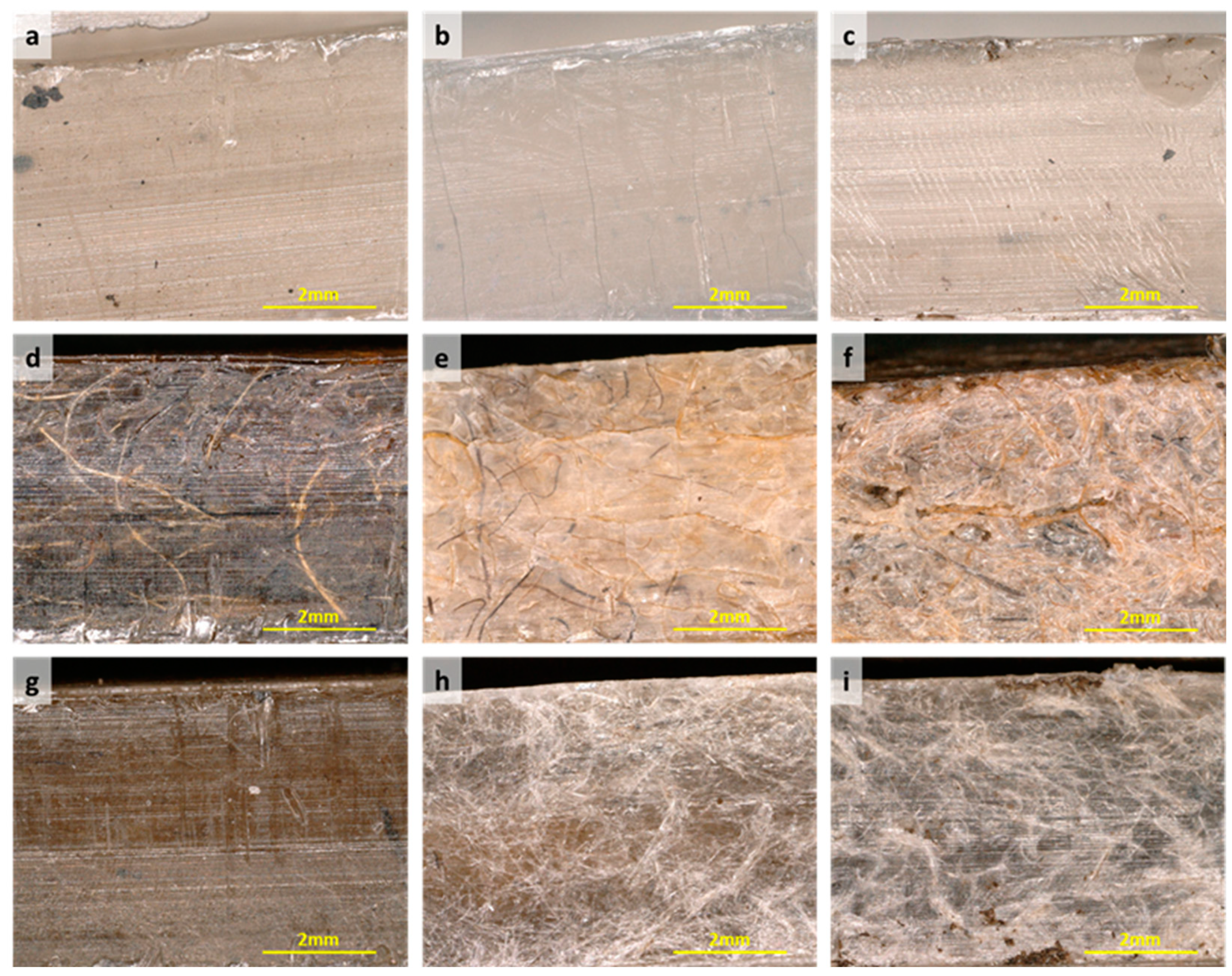 Applsci 14 05600 g010