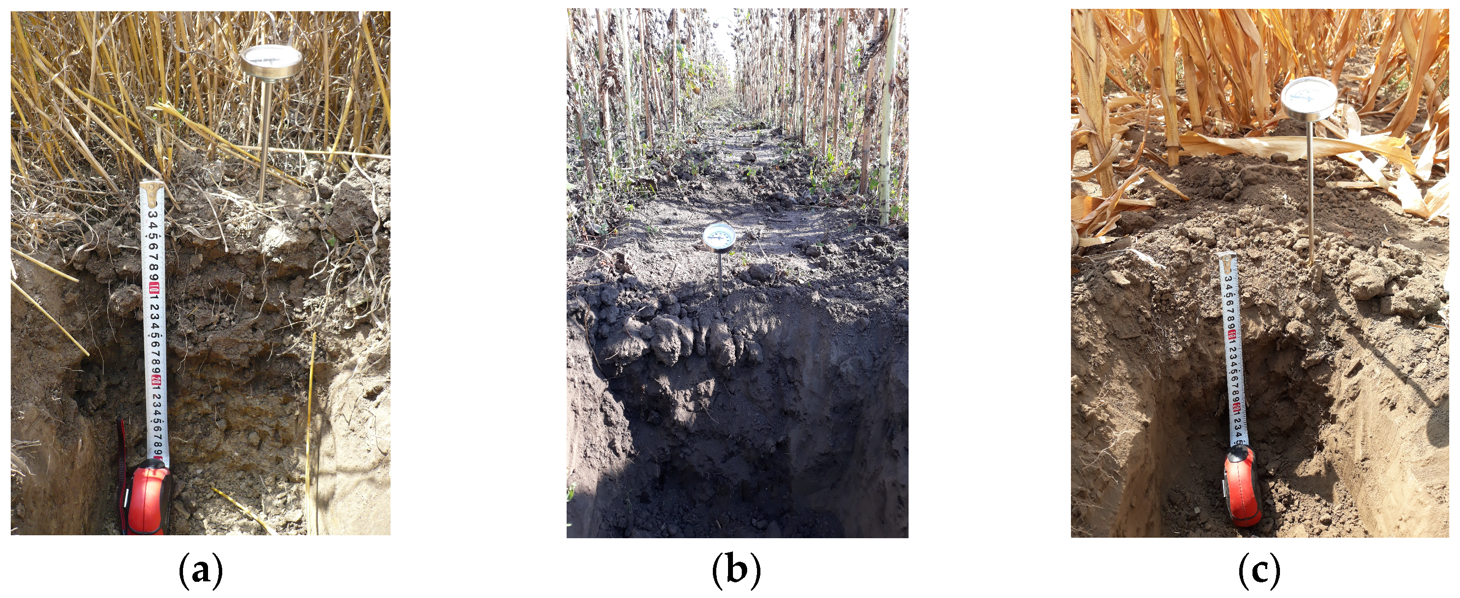 Applsci 14 05616 g002