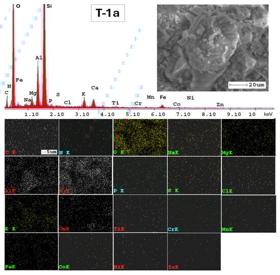 Applsci 14 05616 g0a1