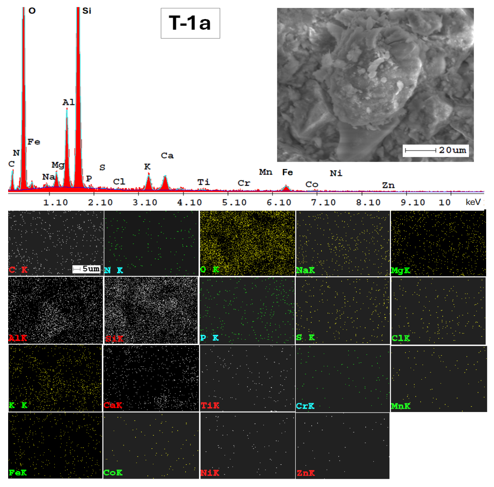 Applsci 14 05616 g0a1