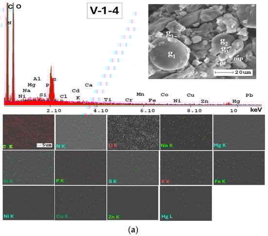 Applsci 14 05616 g0a2a