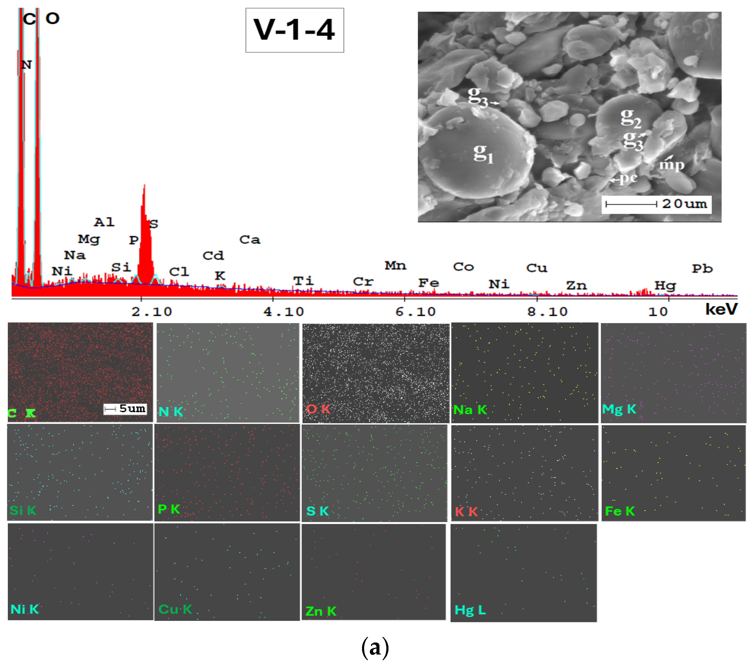 Applsci 14 05616 g0a2a