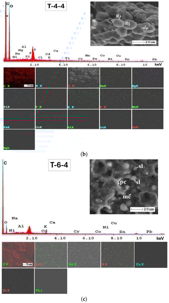 Applsci 14 05616 g0a2b