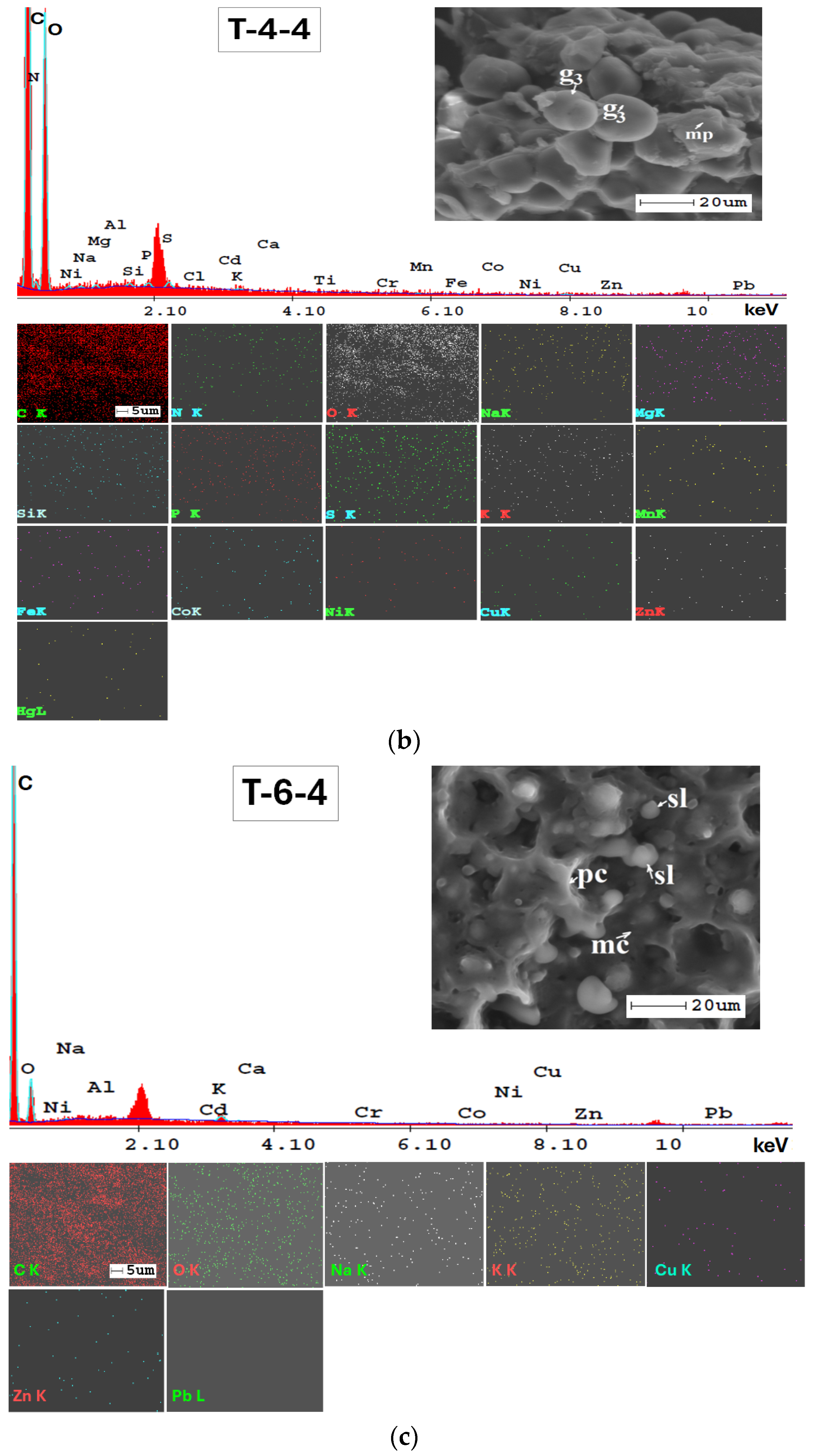 Applsci 14 05616 g0a2b
