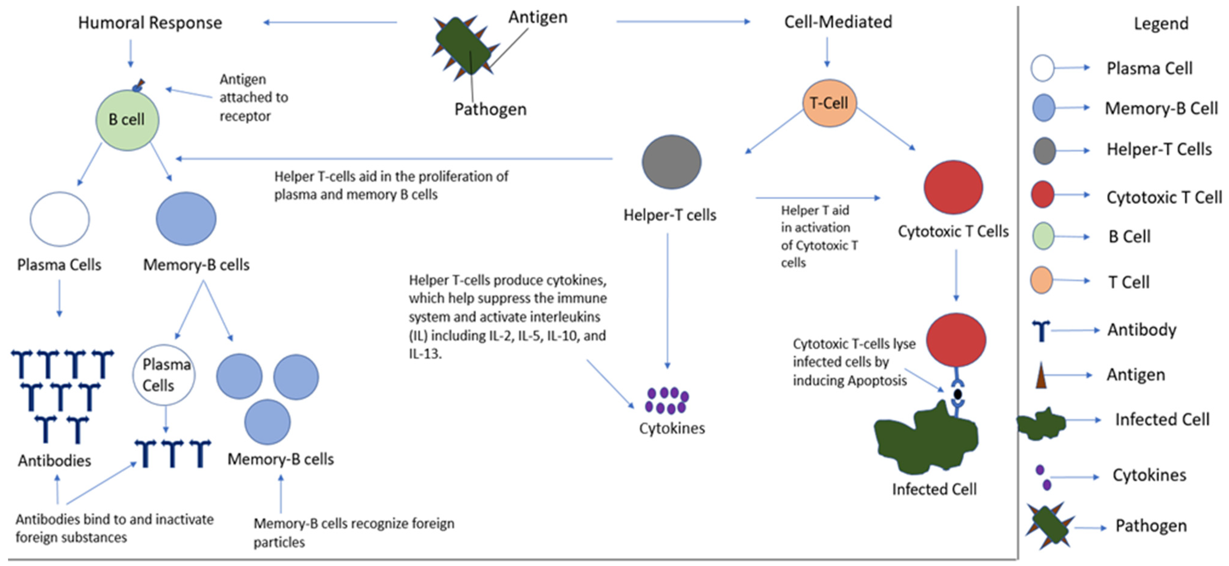 Applsci 14 05672 g001