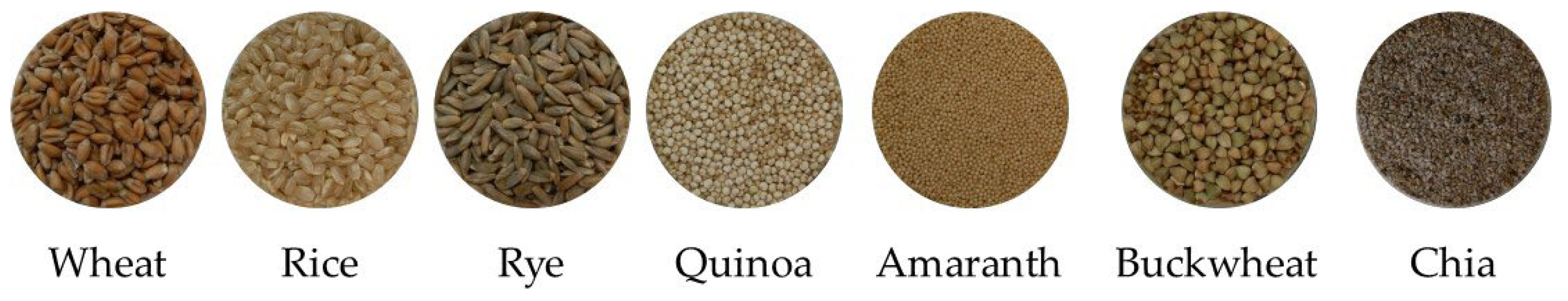 Applsci 14 05684 g001