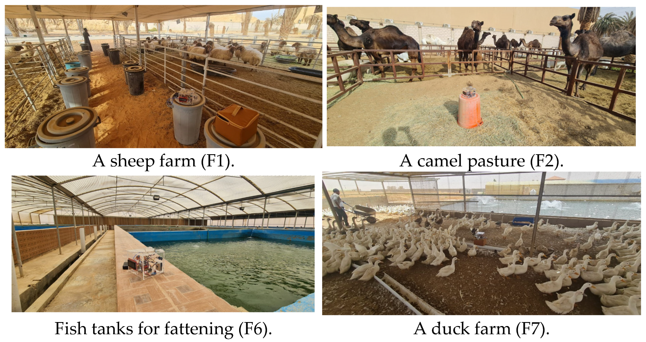 Applsci 14 05713 g002