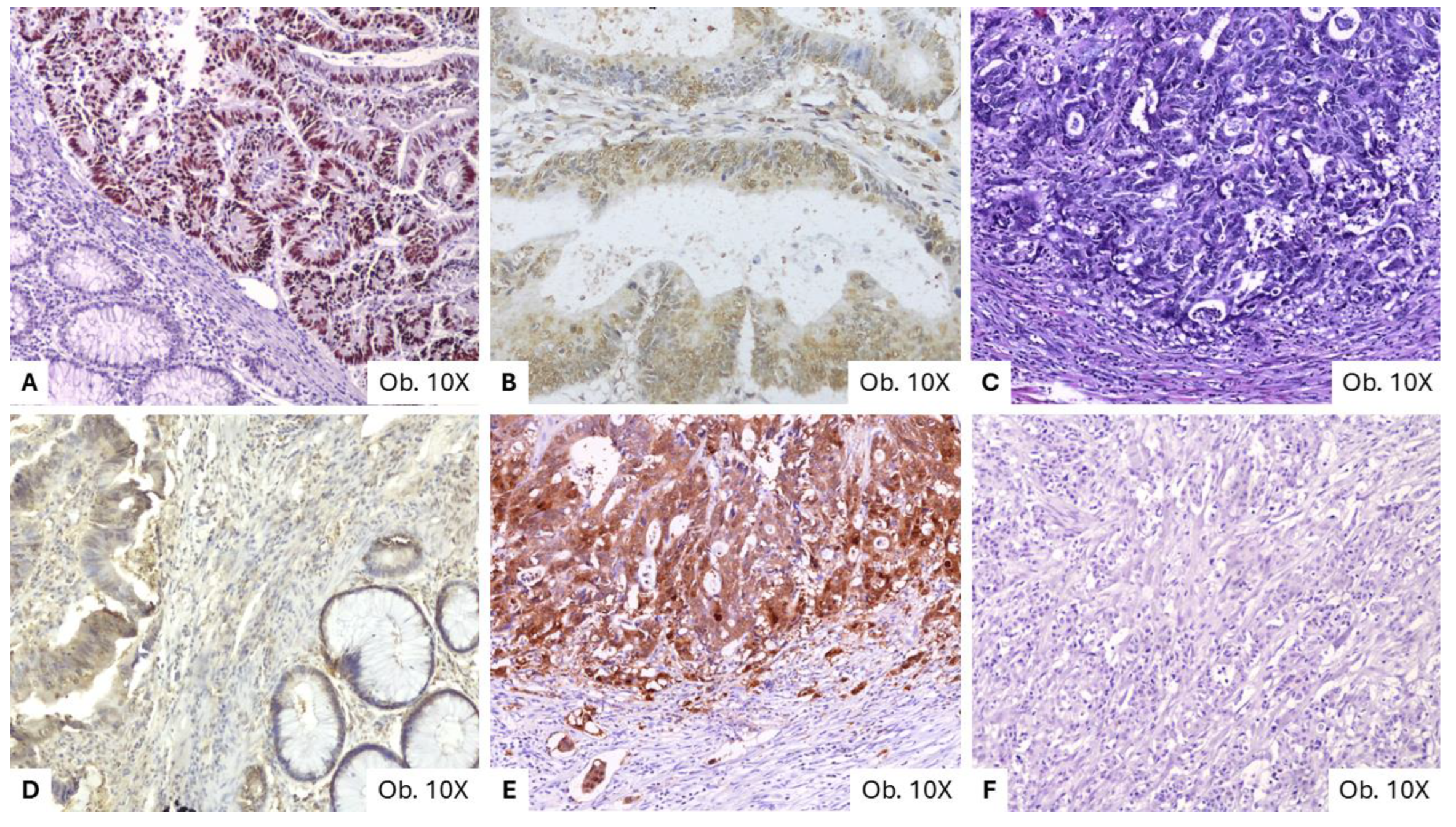 Applsci 14 05721 g001