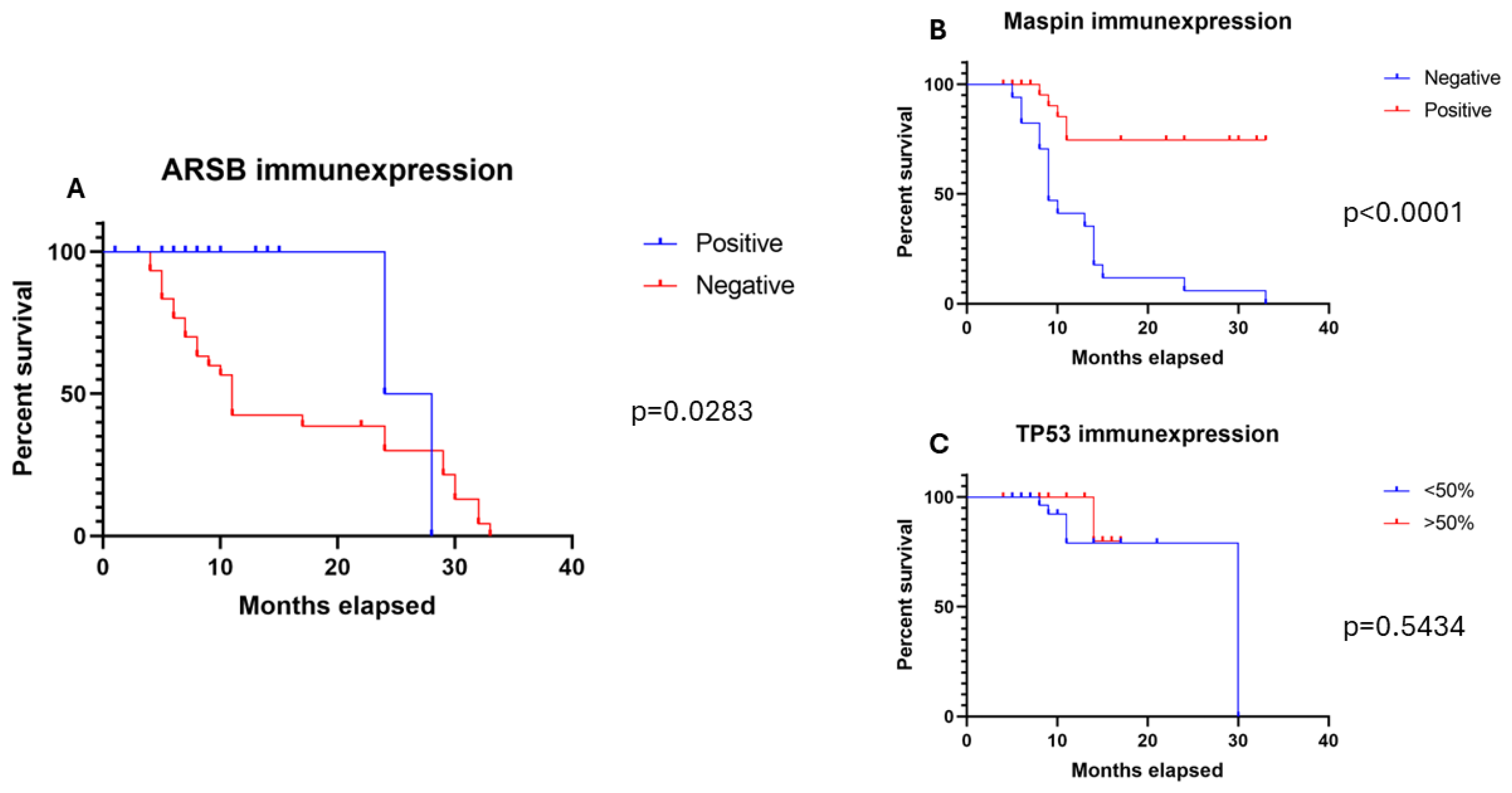 Applsci 14 05721 g005