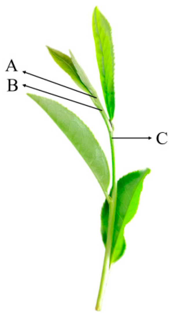 Applsci 14 05748 g004