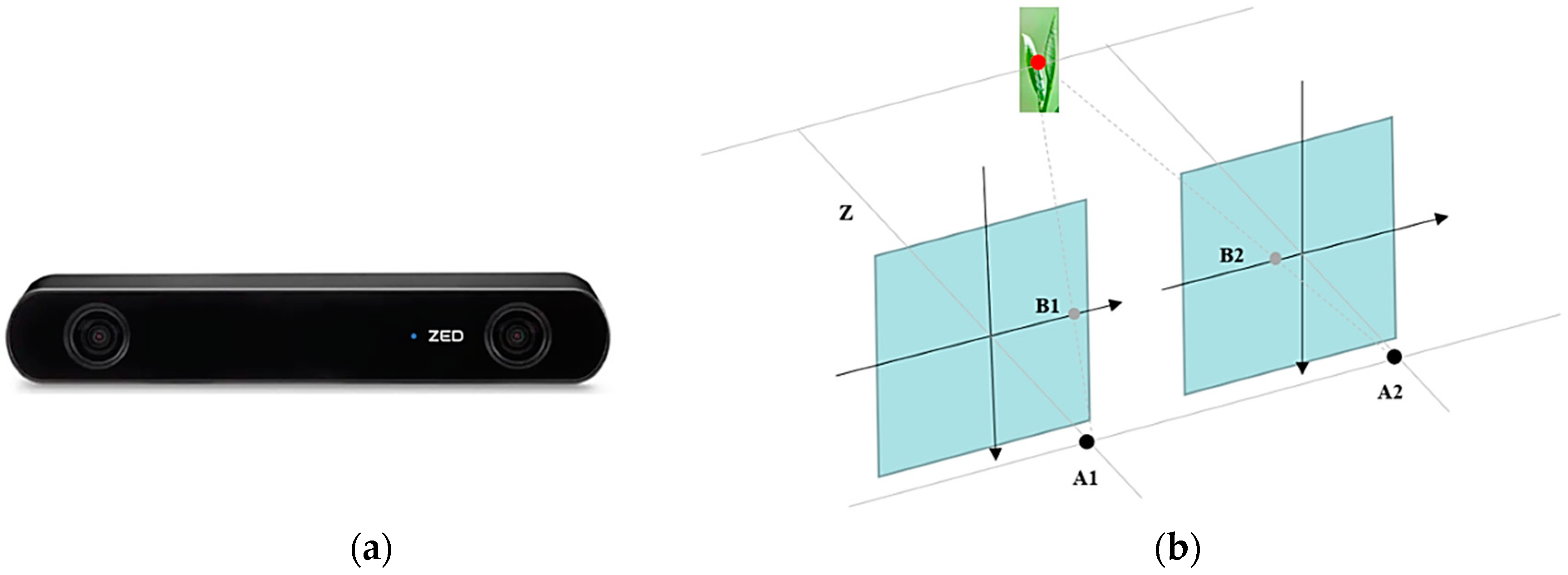 Applsci 14 05748 g006