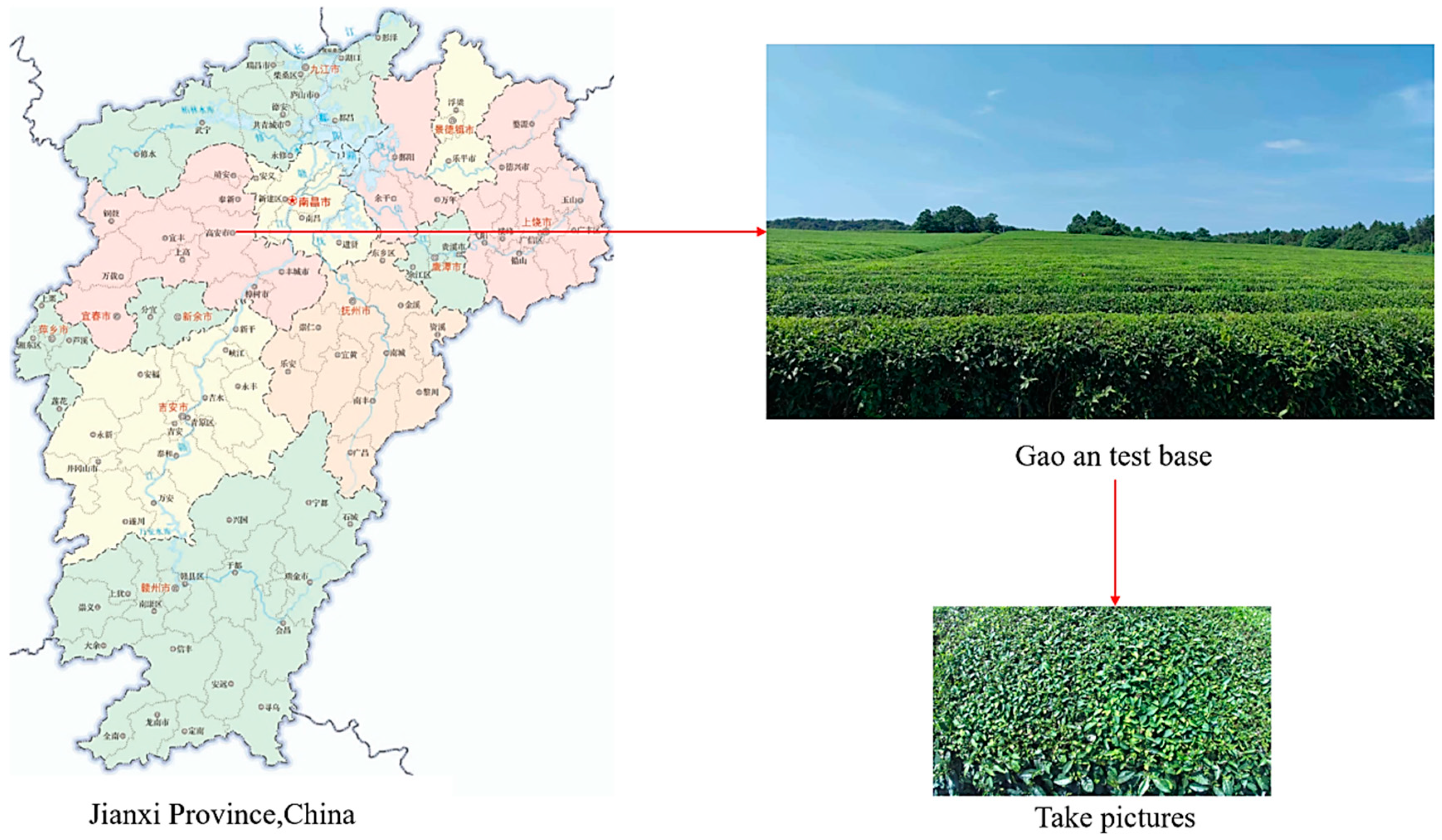 Applsci 14 05748 g008