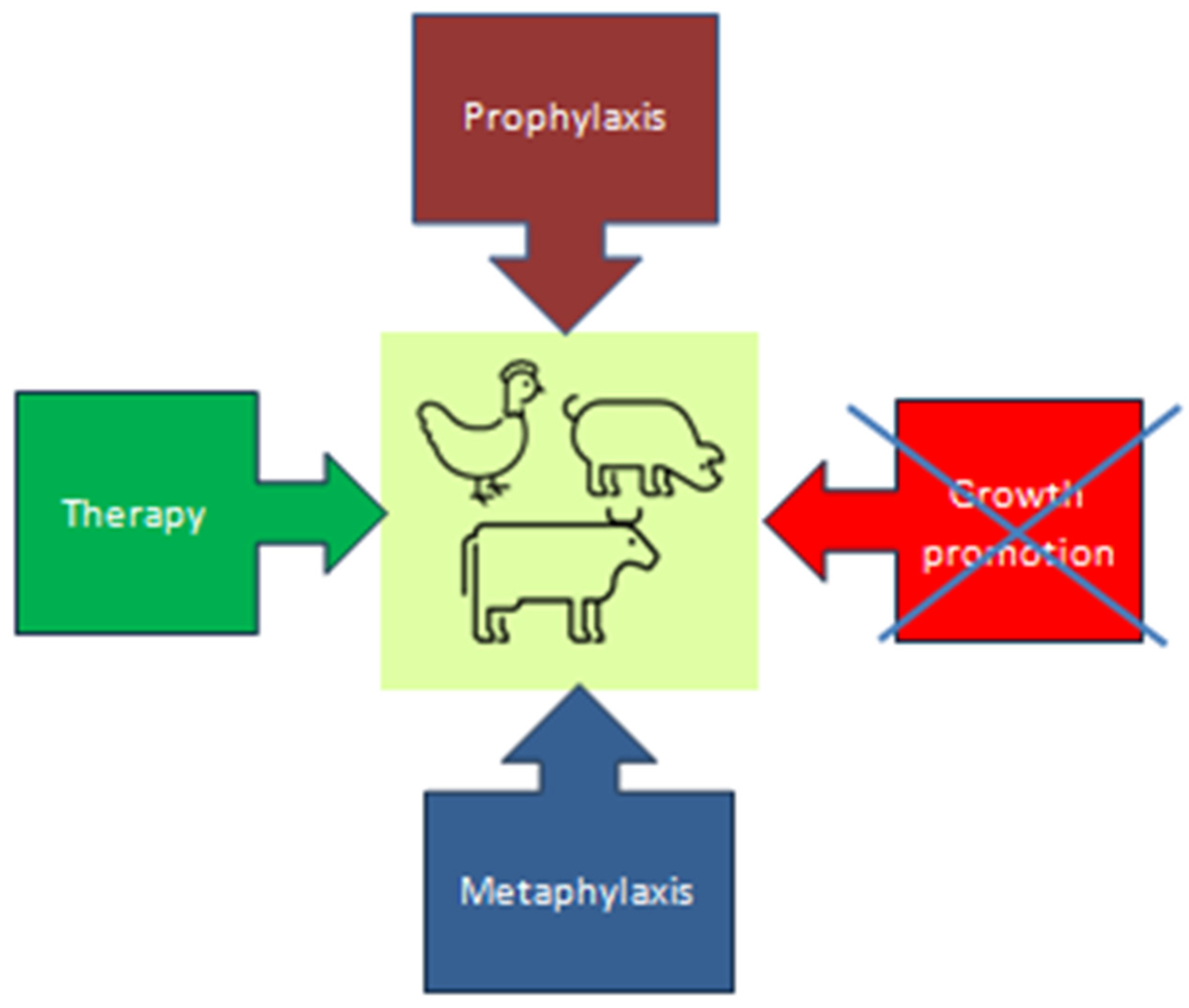 Applsci 14 05776 g001