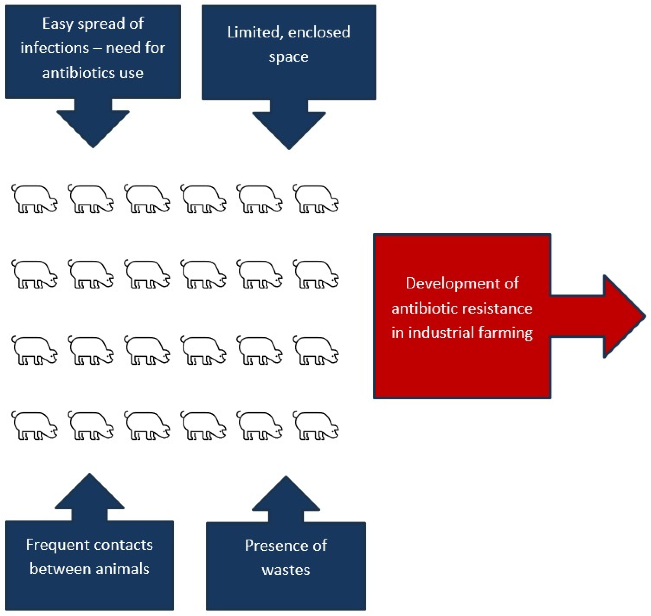 Applsci 14 05776 g002