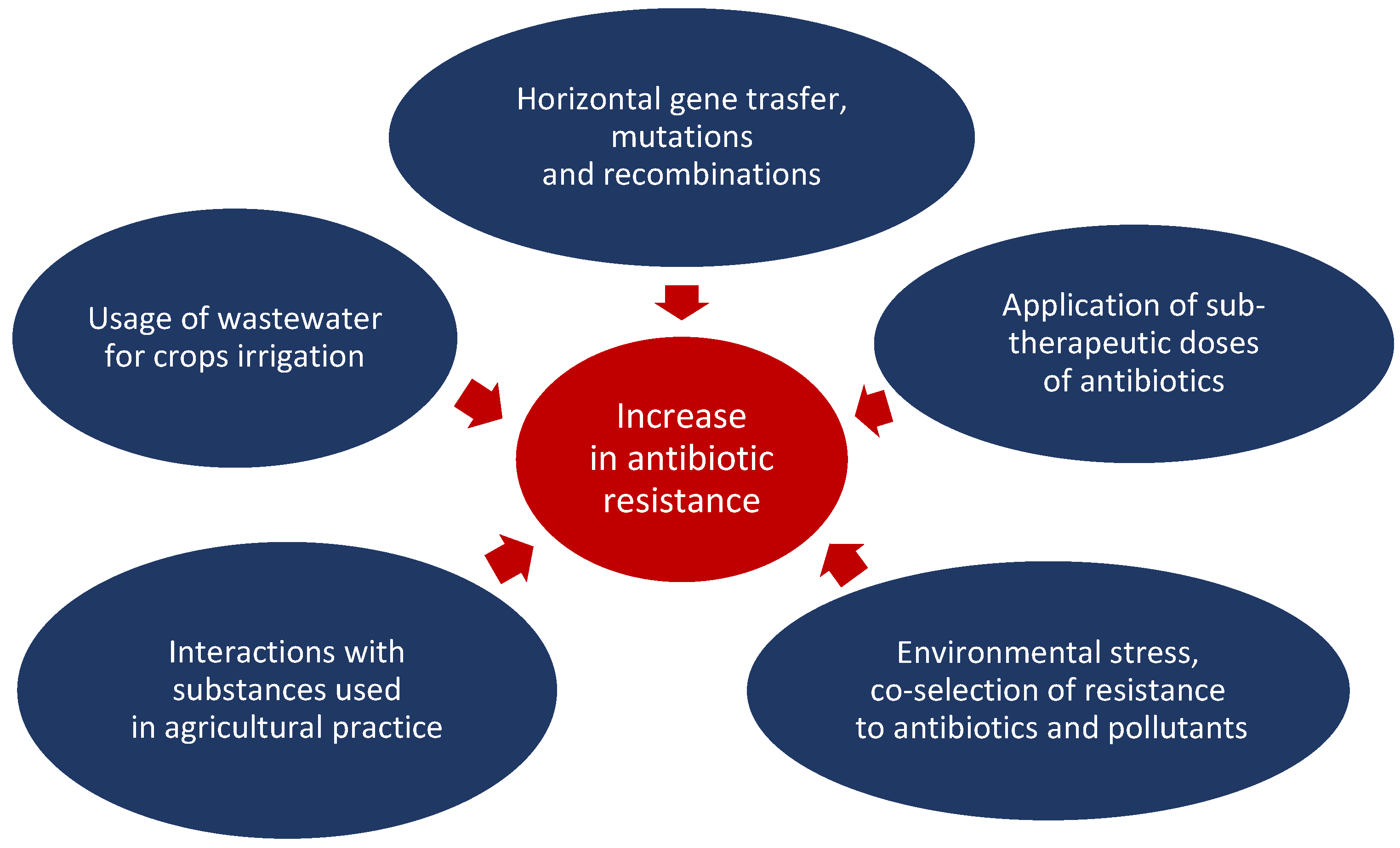 Applsci 14 05776 g003