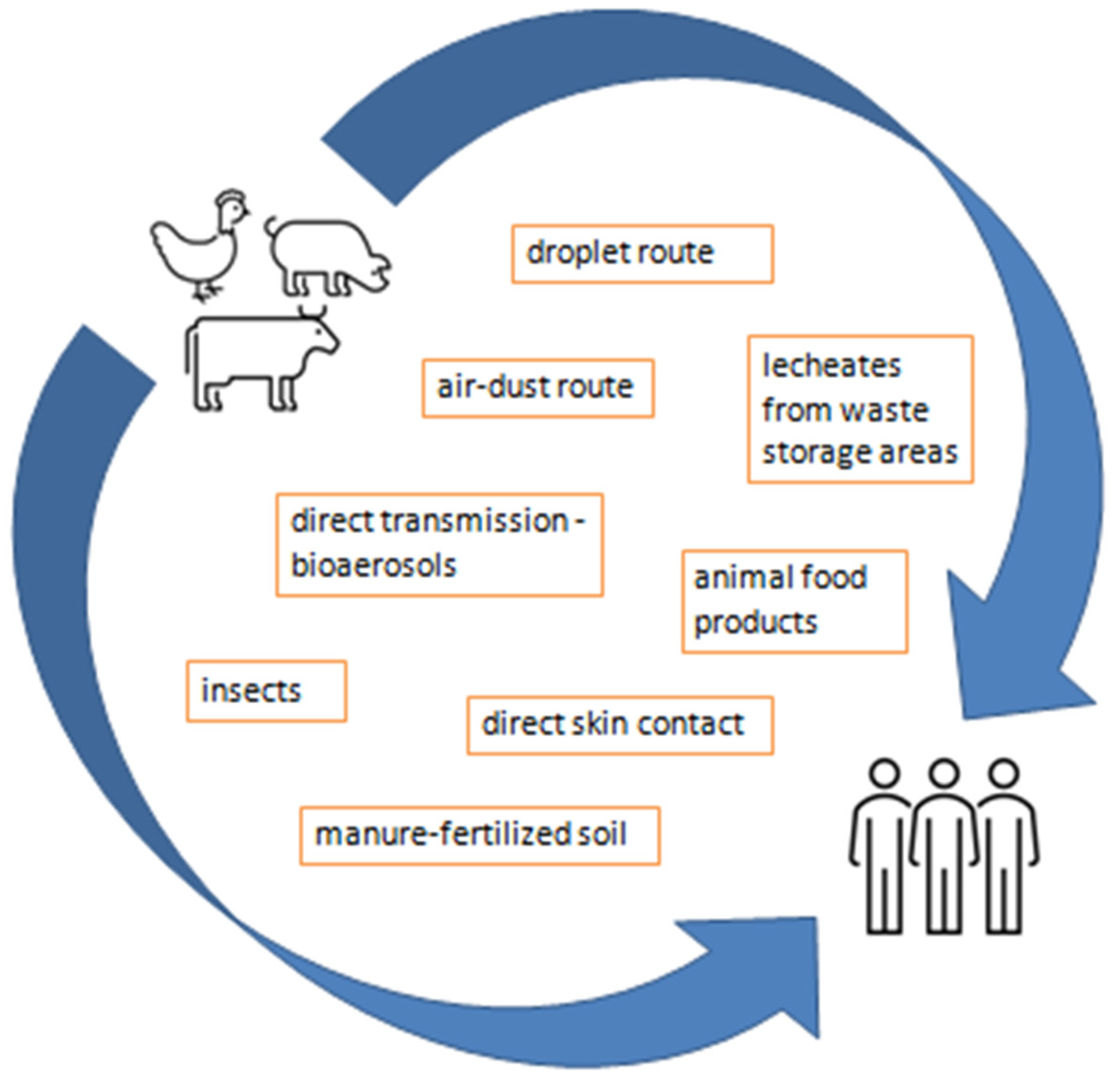 Applsci 14 05776 g004