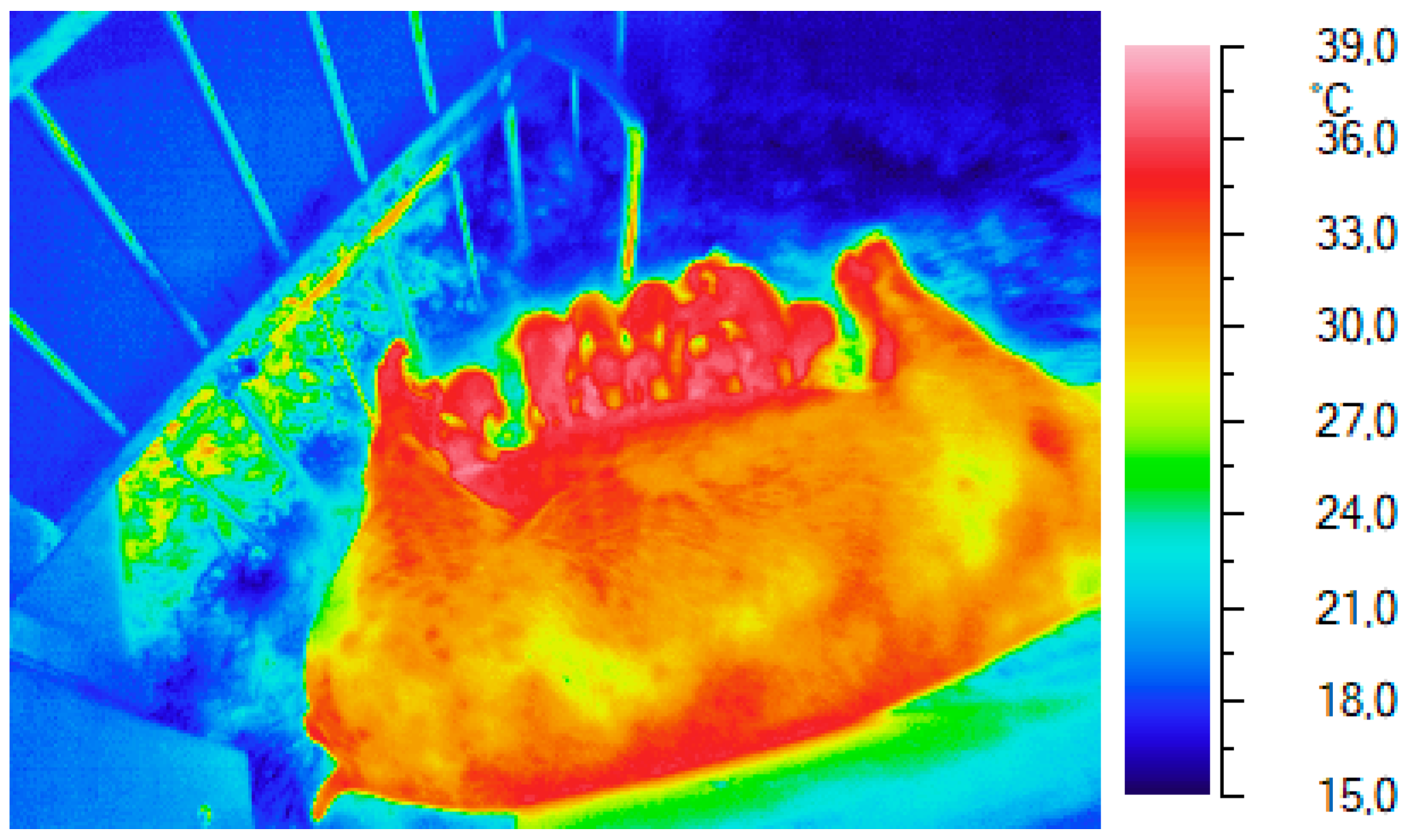 Applsci 14 05780 g002