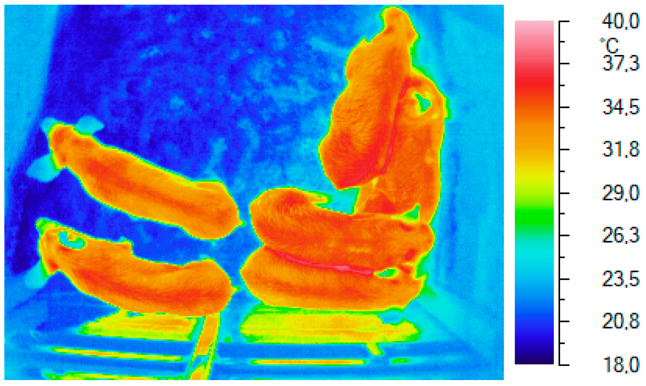 Applsci 14 05780 g003