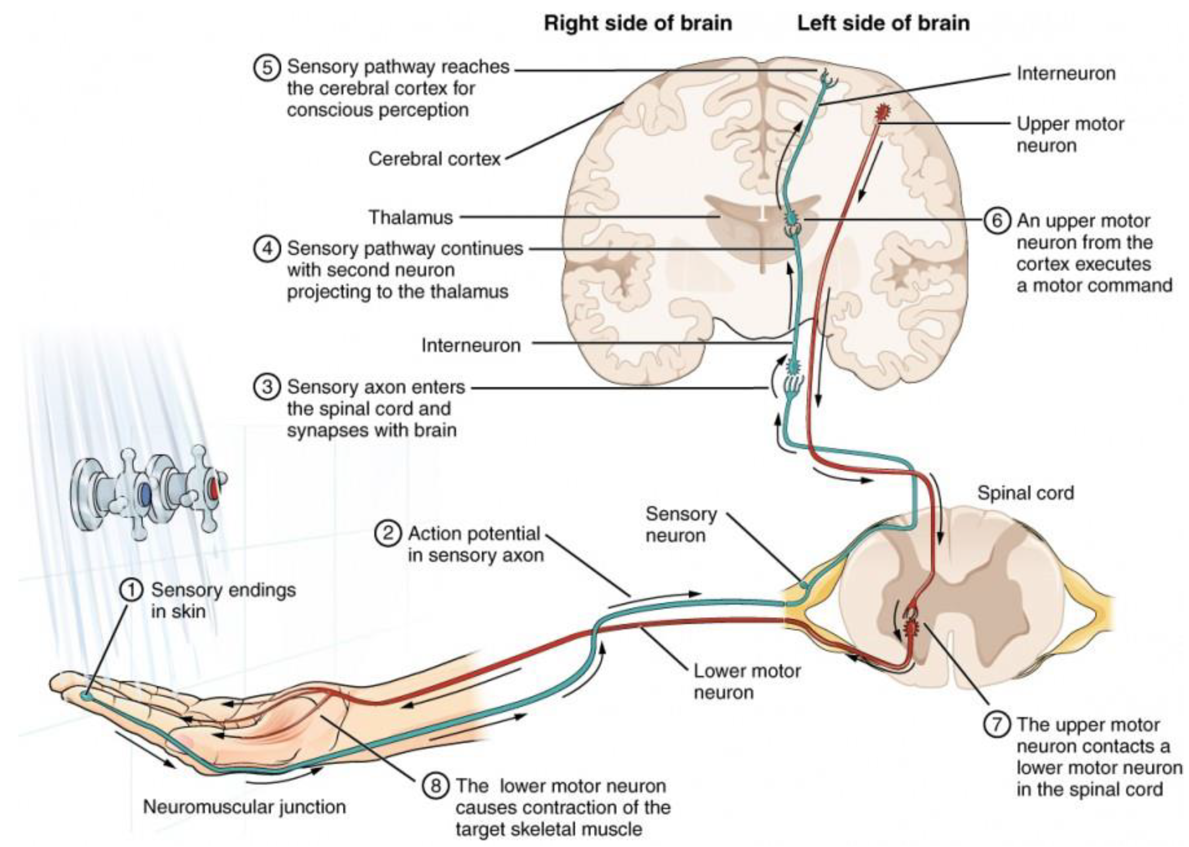 Applsci 14 05784 g031