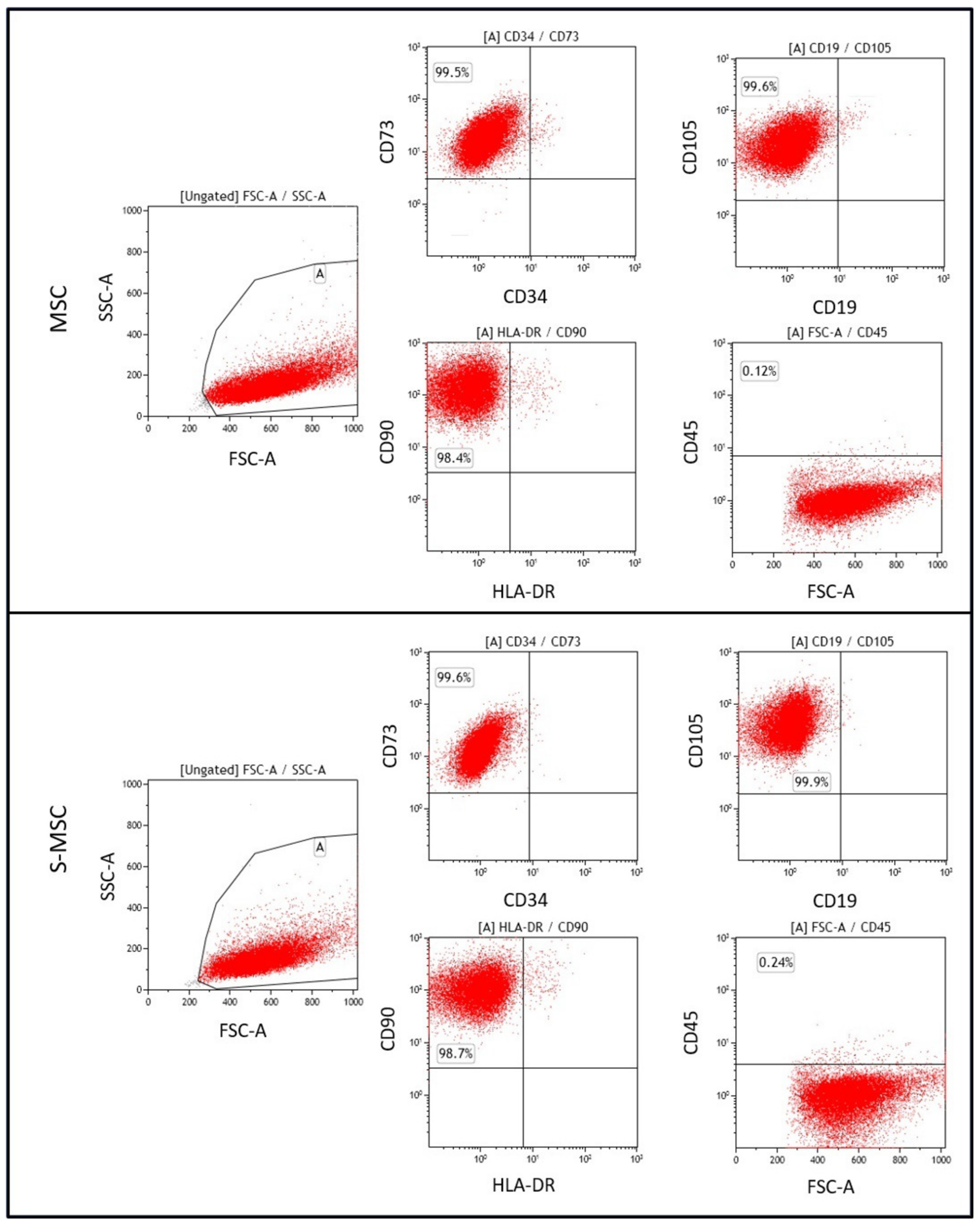 Applsci 14 05821 g002