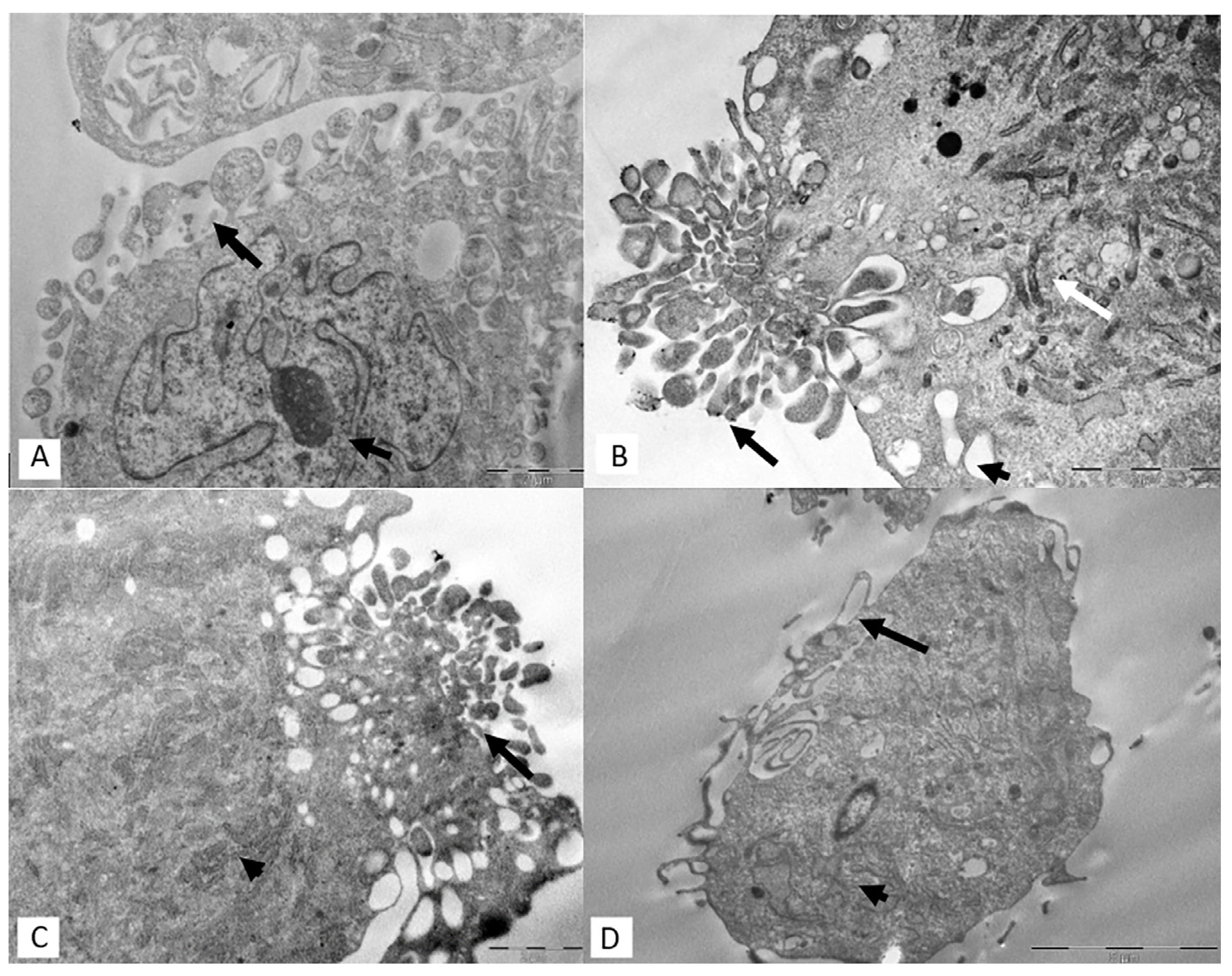 Applsci 14 05821 g005