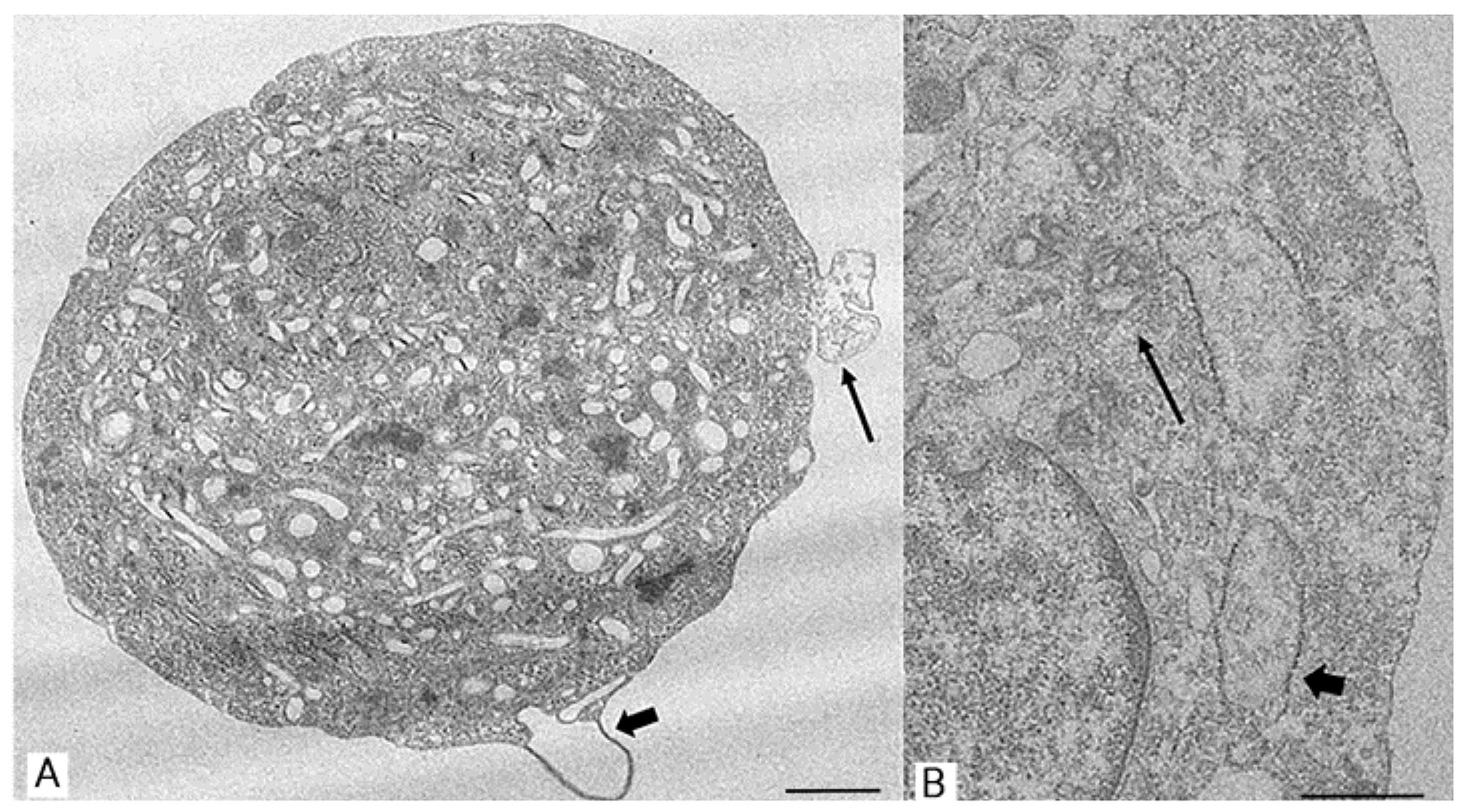 Applsci 14 05821 g007