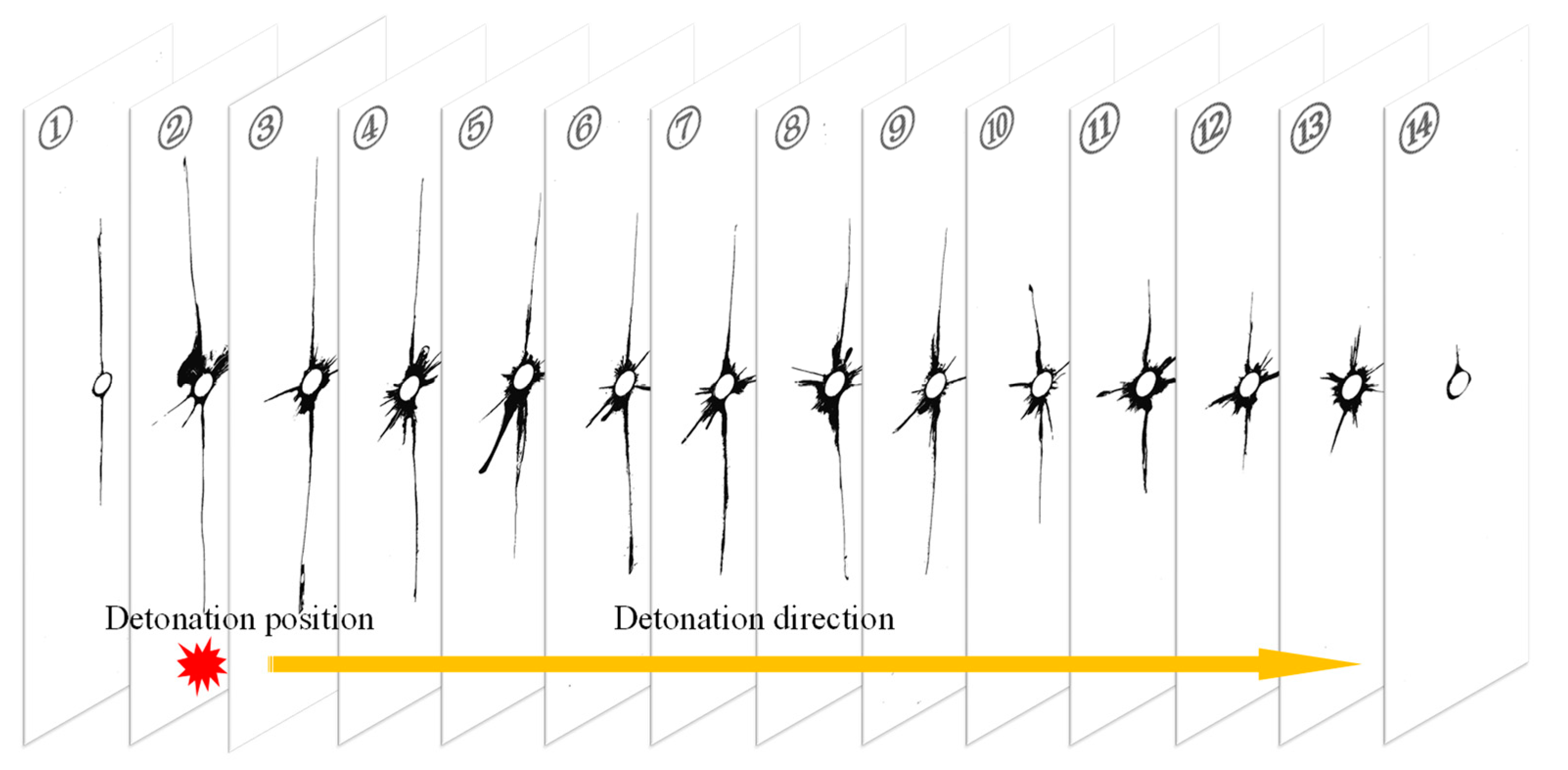 Applsci 14 05840 g005