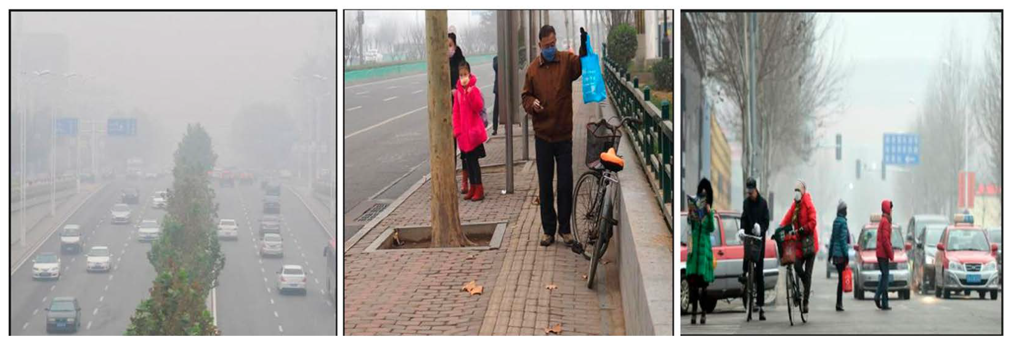 Applsci 14 05841 g004