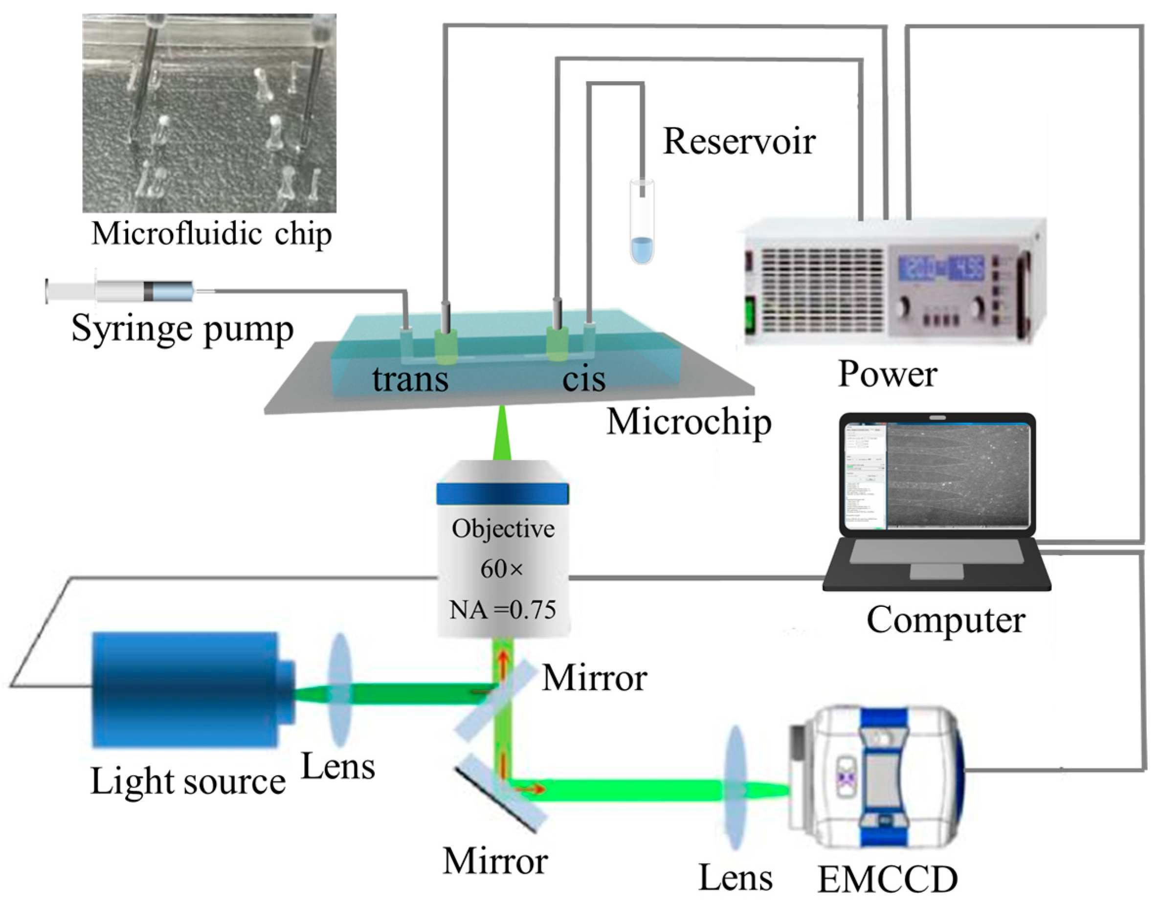 Applsci 14 05870 g002