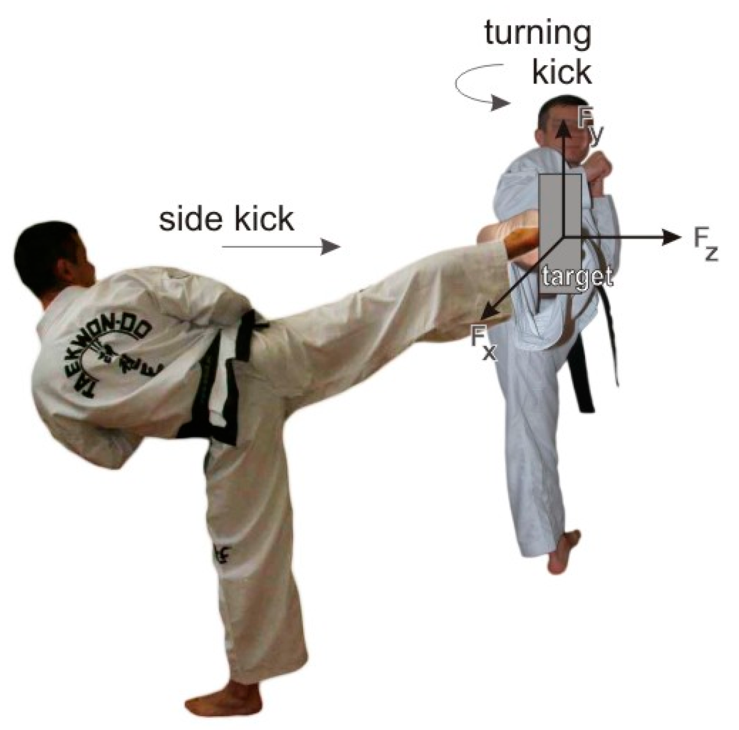 Applsci 14 05876 g002