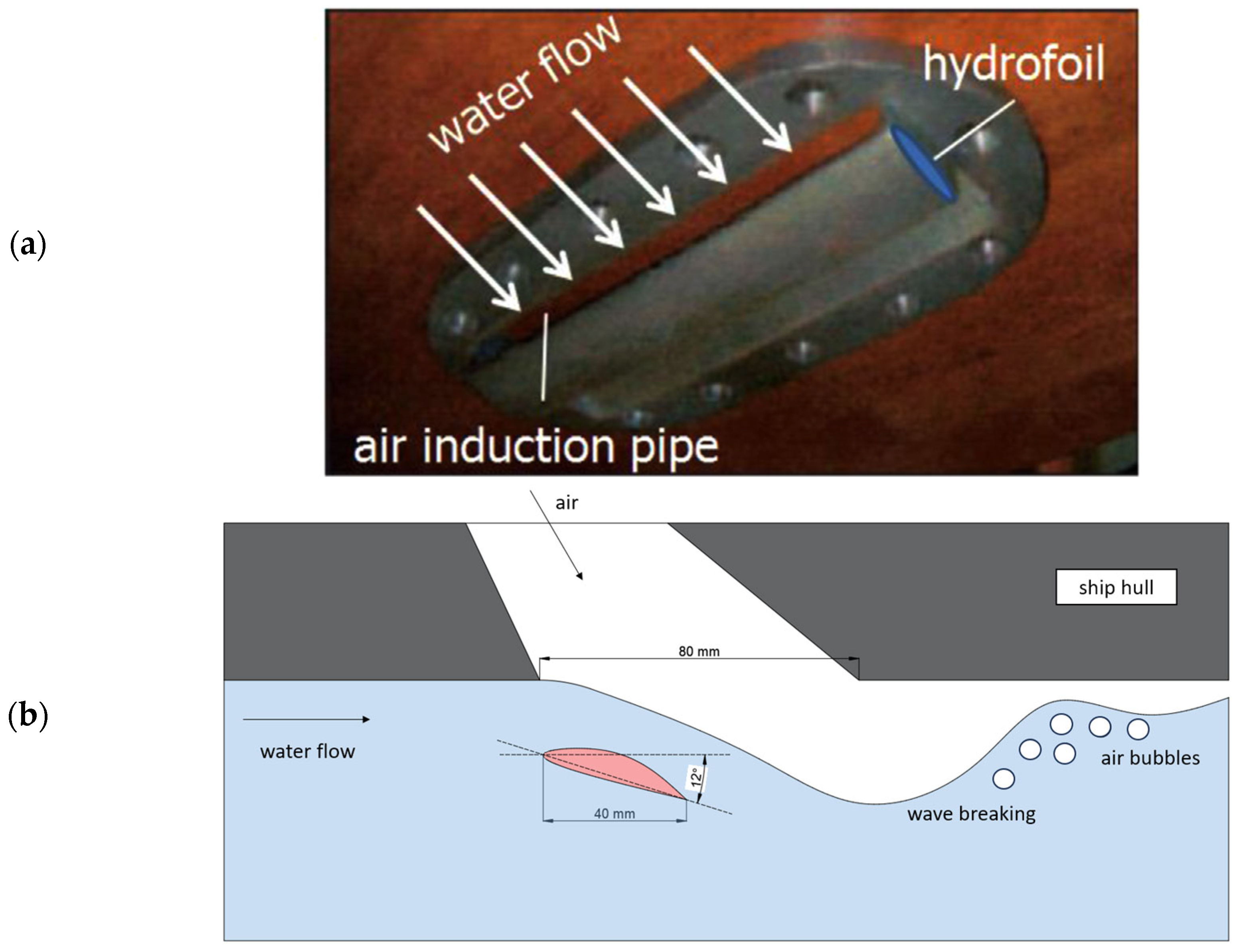Applsci 14 05888 g003
