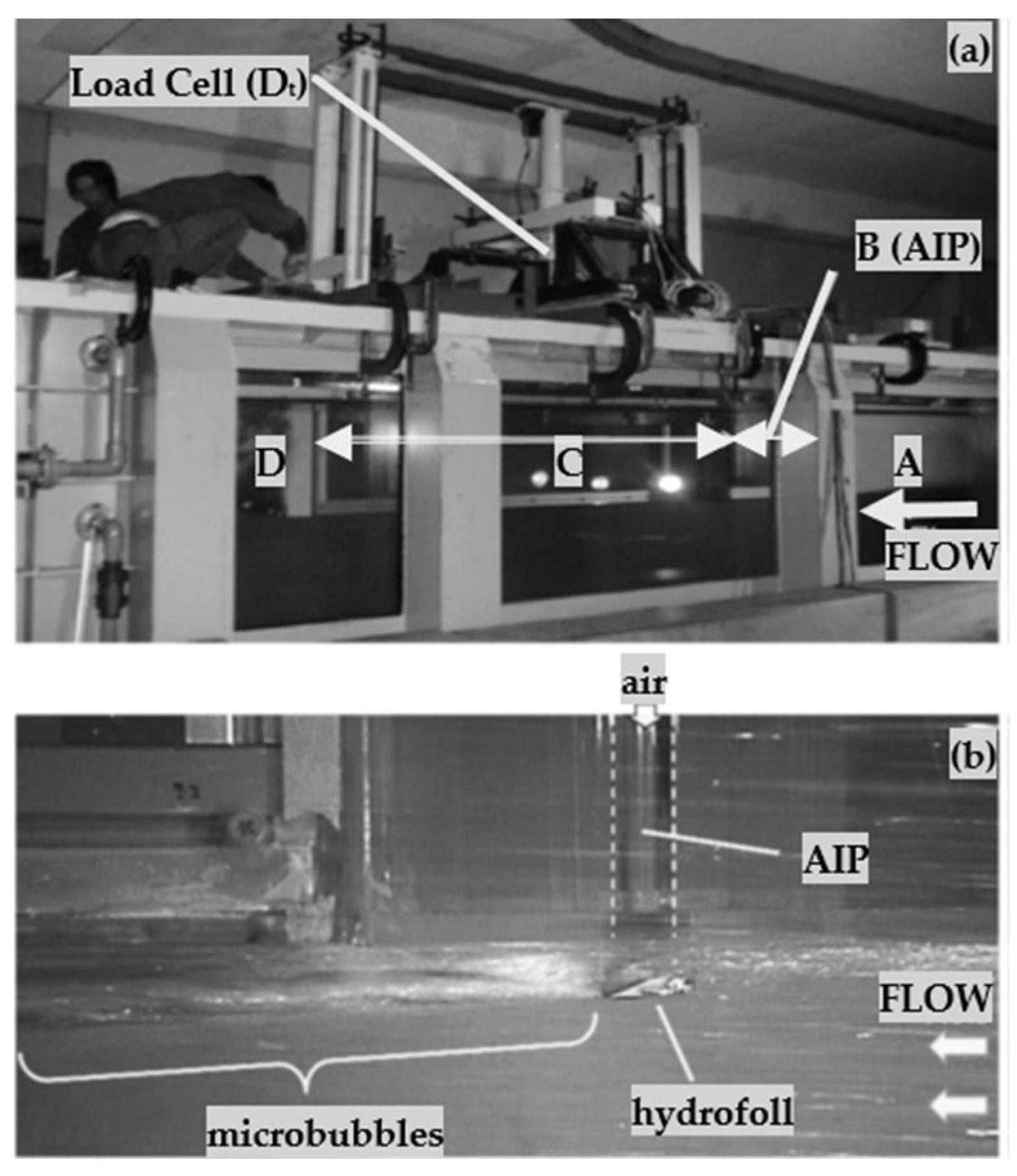 Applsci 14 05888 g004