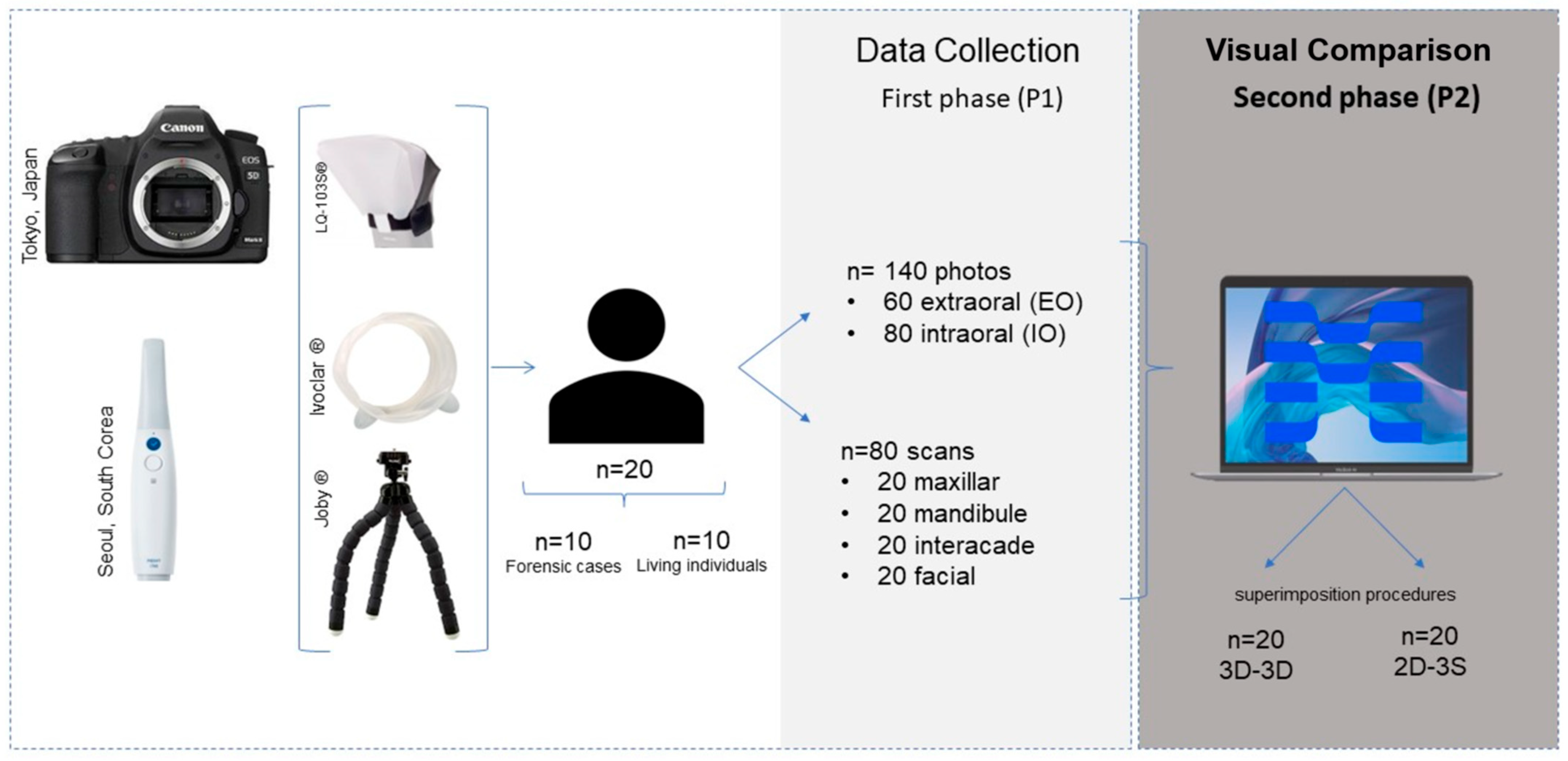 Applsci 14 05892 g001