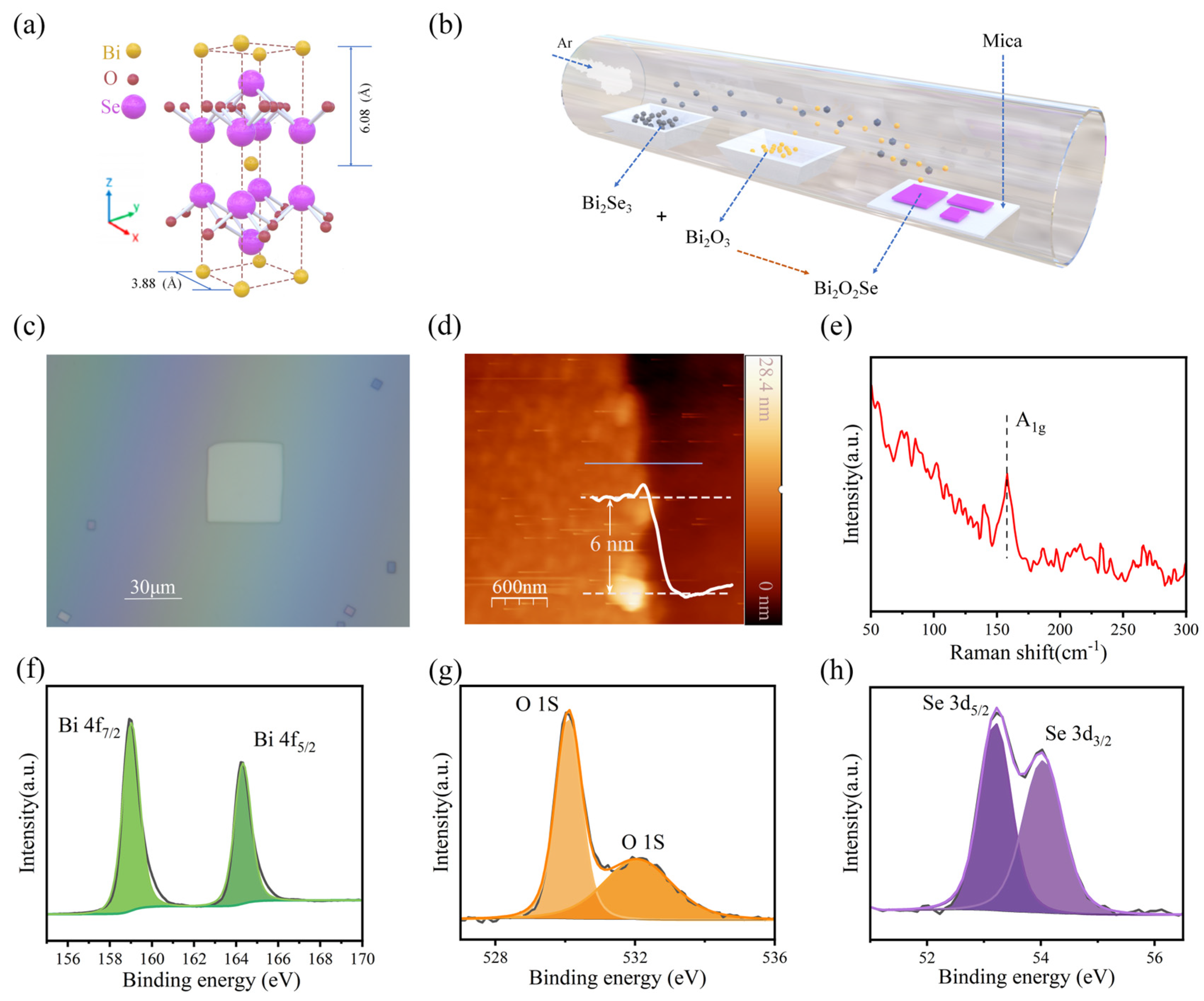 Applsci 14 05914 g001
